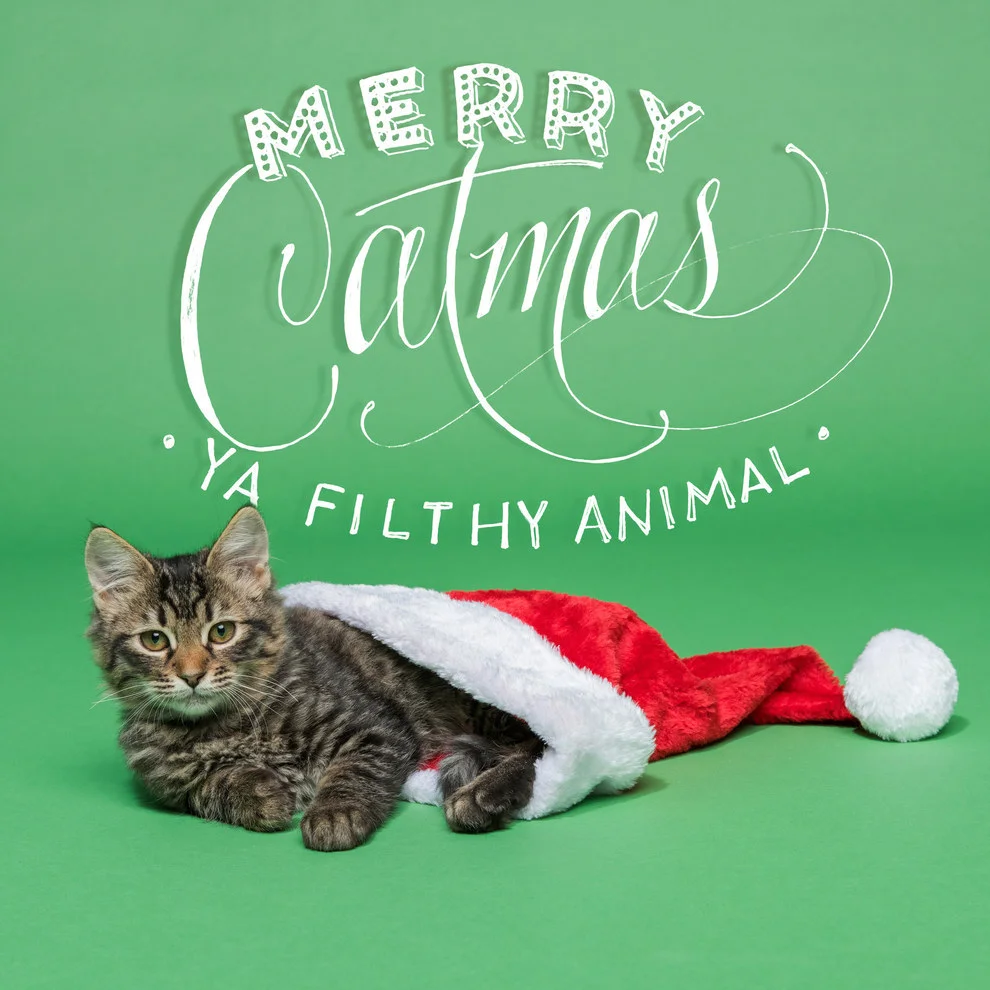 Merry Catmas