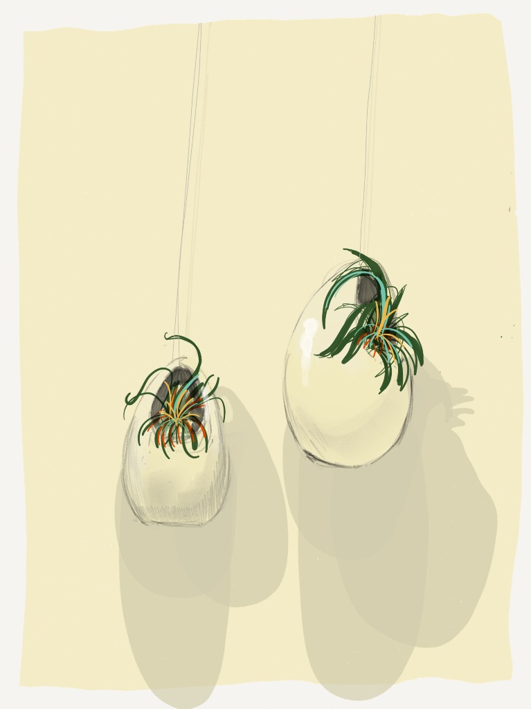 Hanging Plants