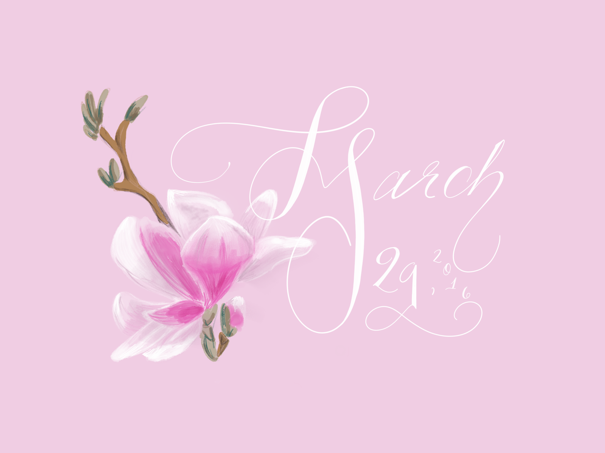 DAILY TYPE LIFE - 47.png