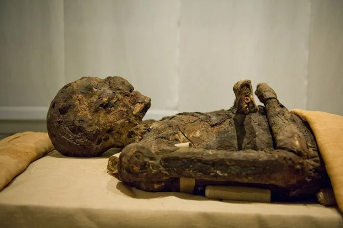 mummy-imhotep.jpg