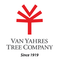 vanyahres.png