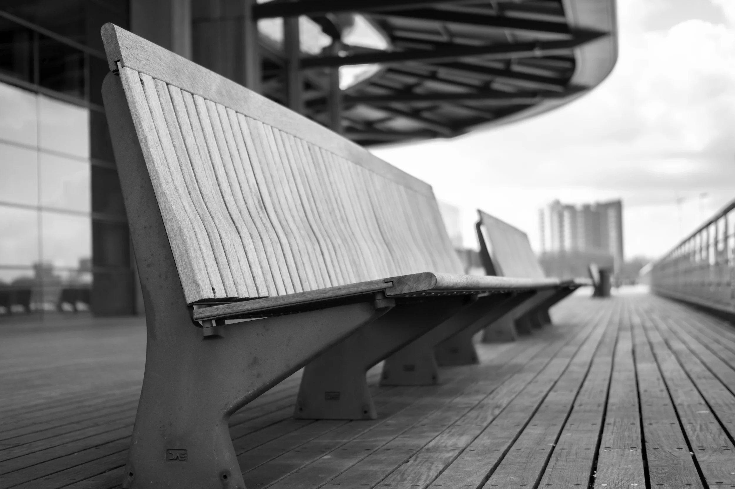 bench-city-view-resting-9252 copy.jpg