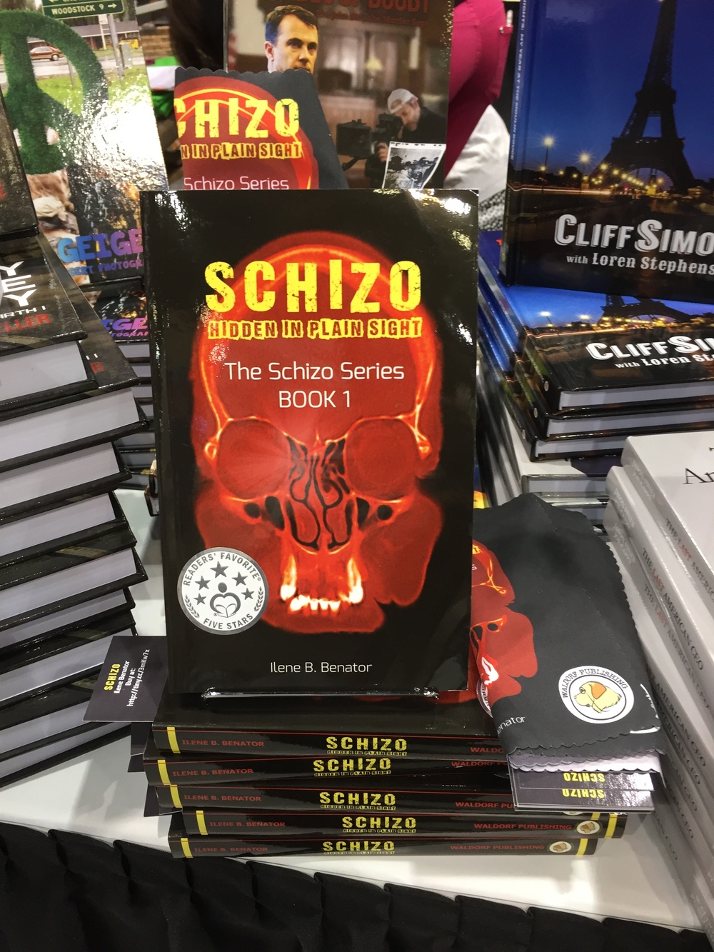 Shelfie of Schizo