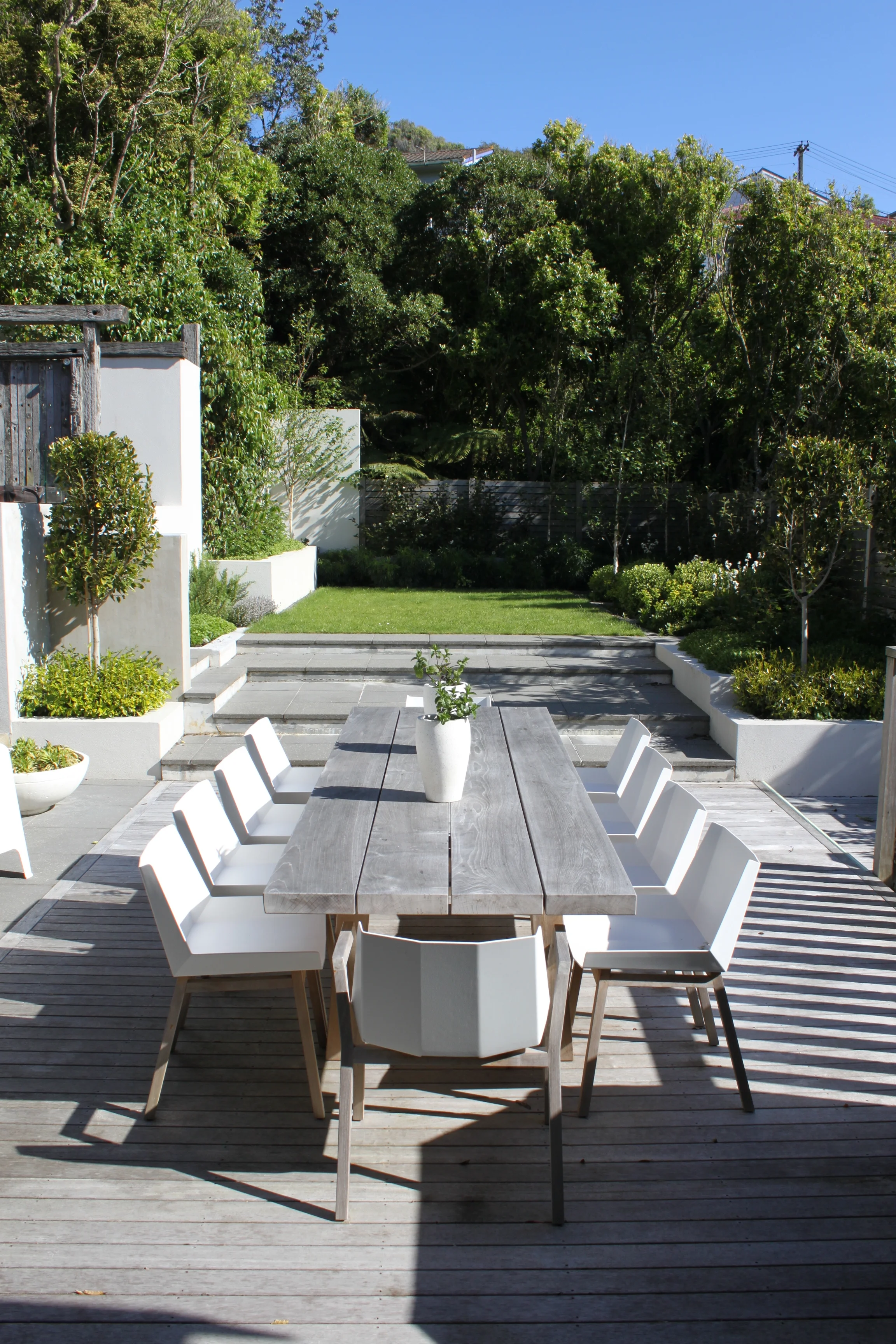 Terraced Hillside | Wellington