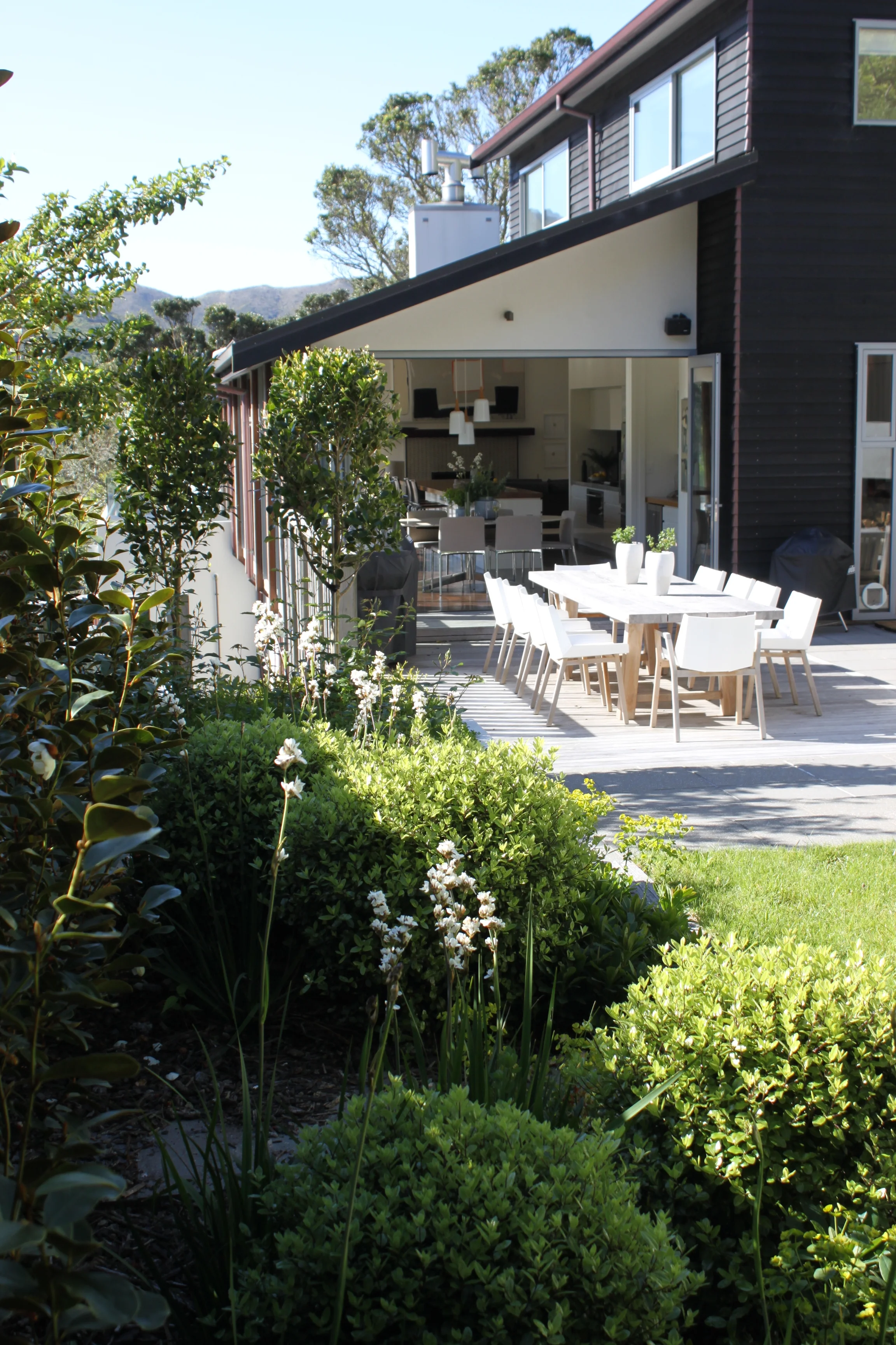 Terraced Hillside | Wellington