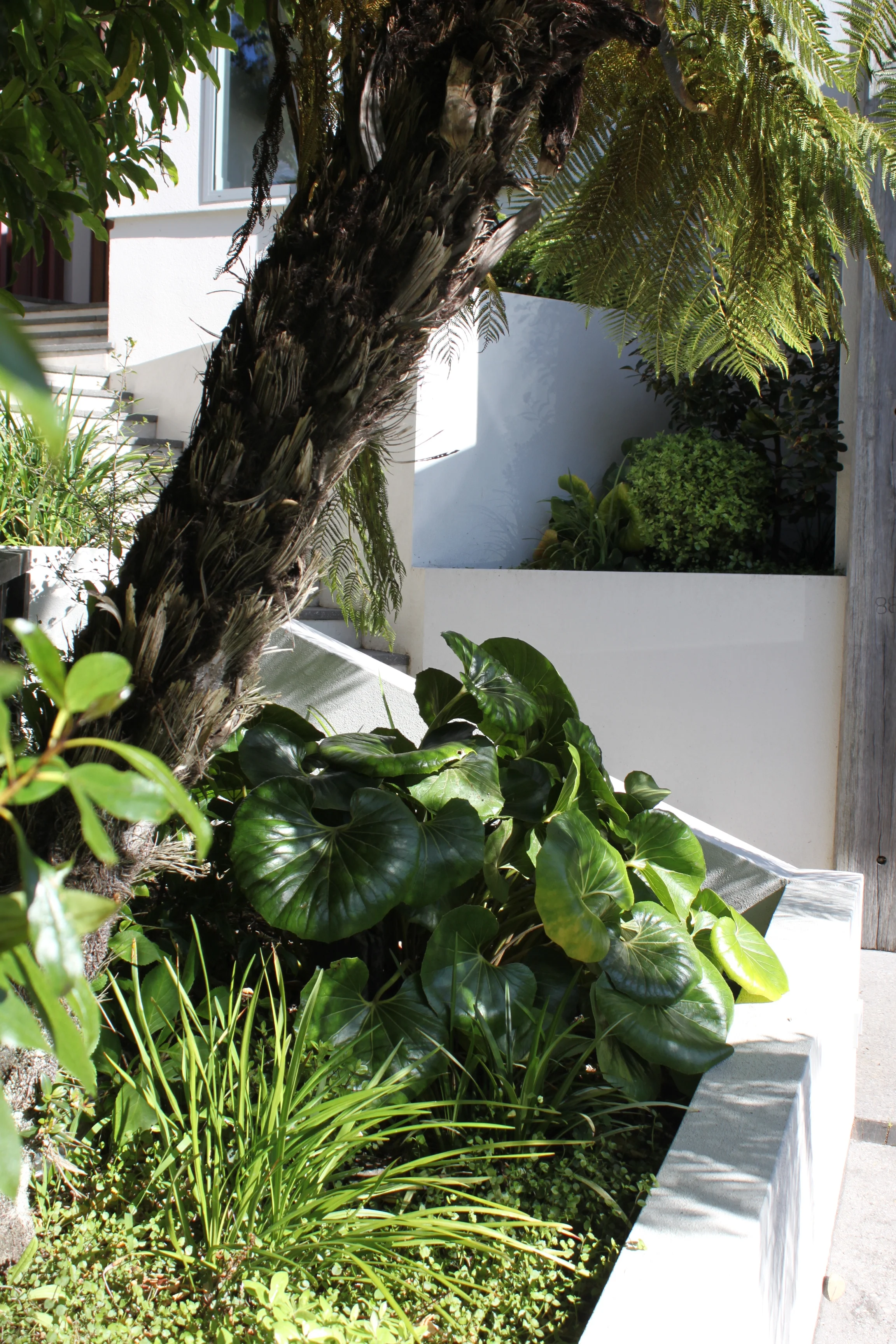 Terraced Hillside | Wellington