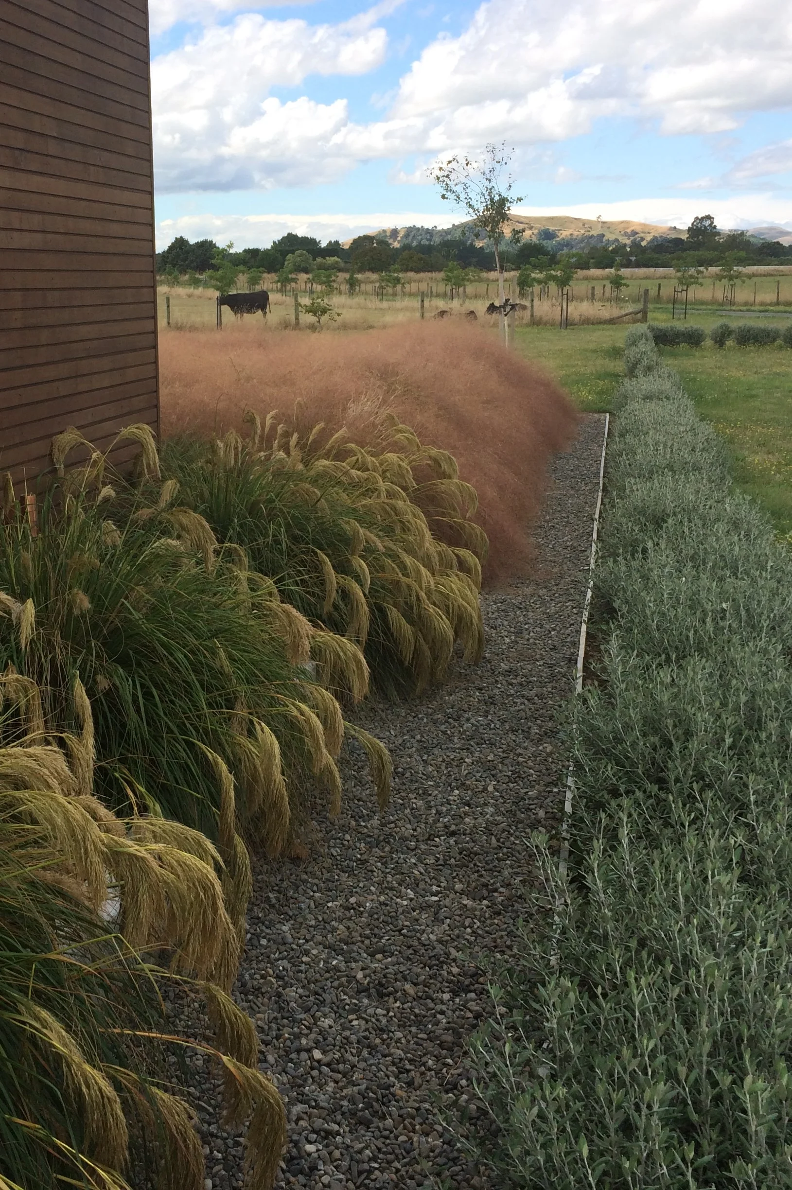 Rural Geometry | Masterton