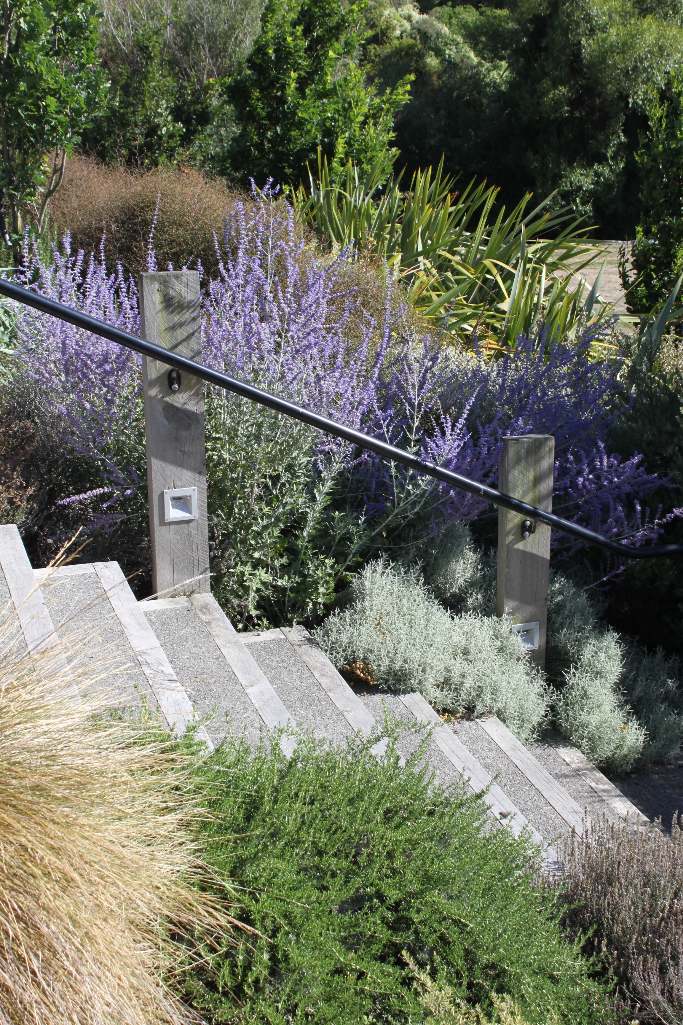 Murdoch James Winery | Martinborough