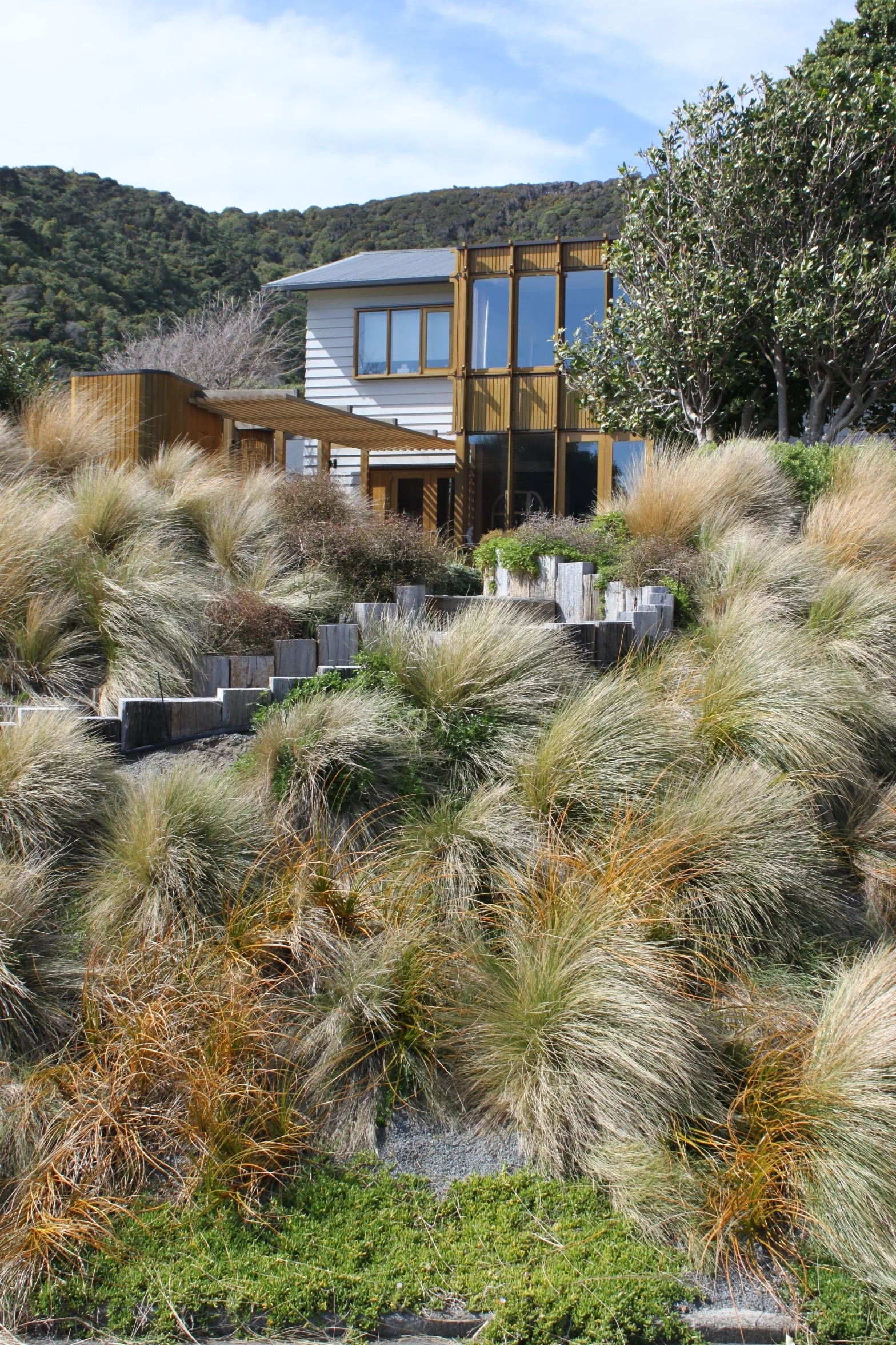 Coastal Garden | Eastbourne