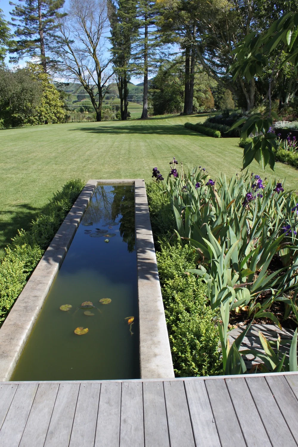 Bull McMurray 028.jpg