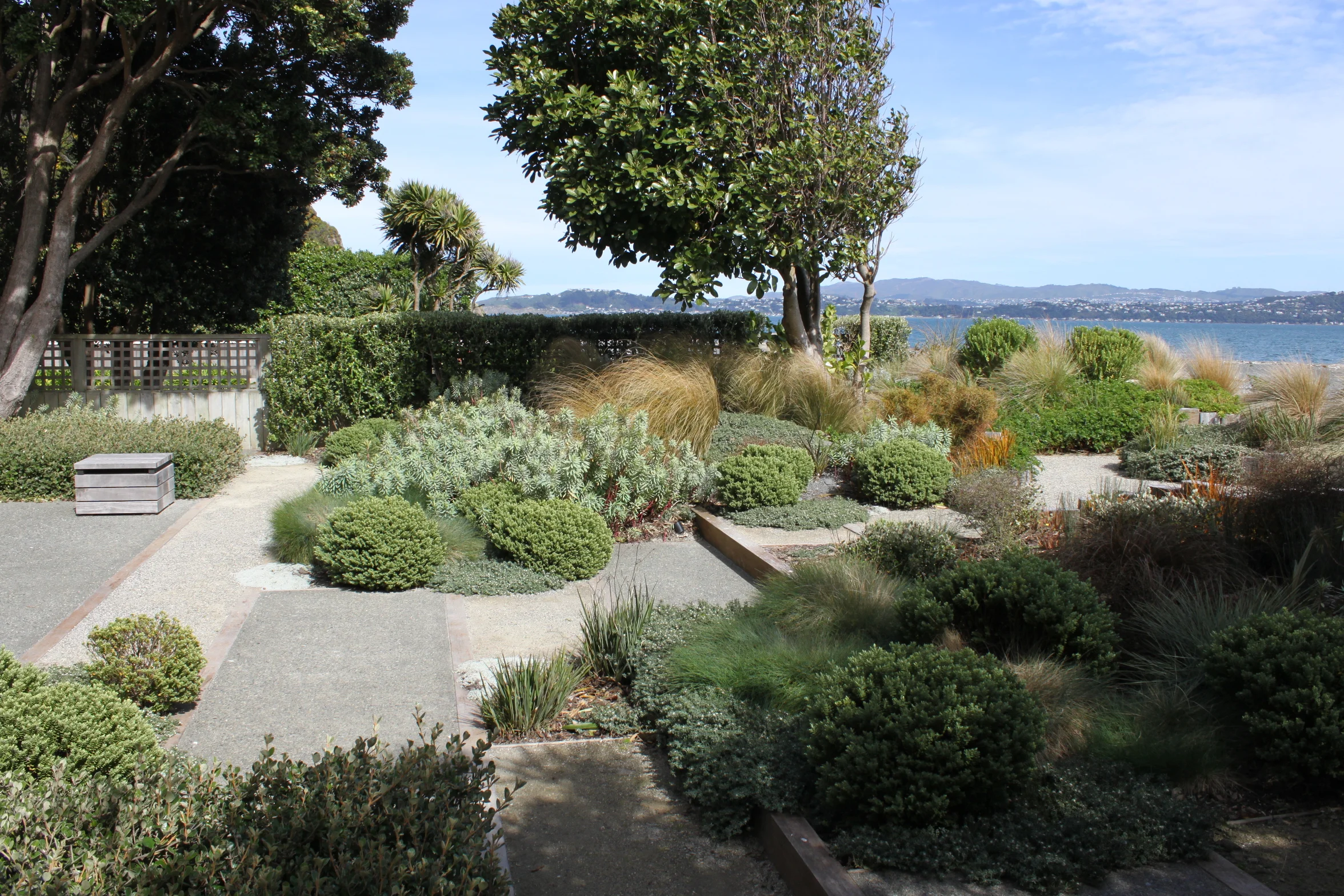 Publication shot.JPG