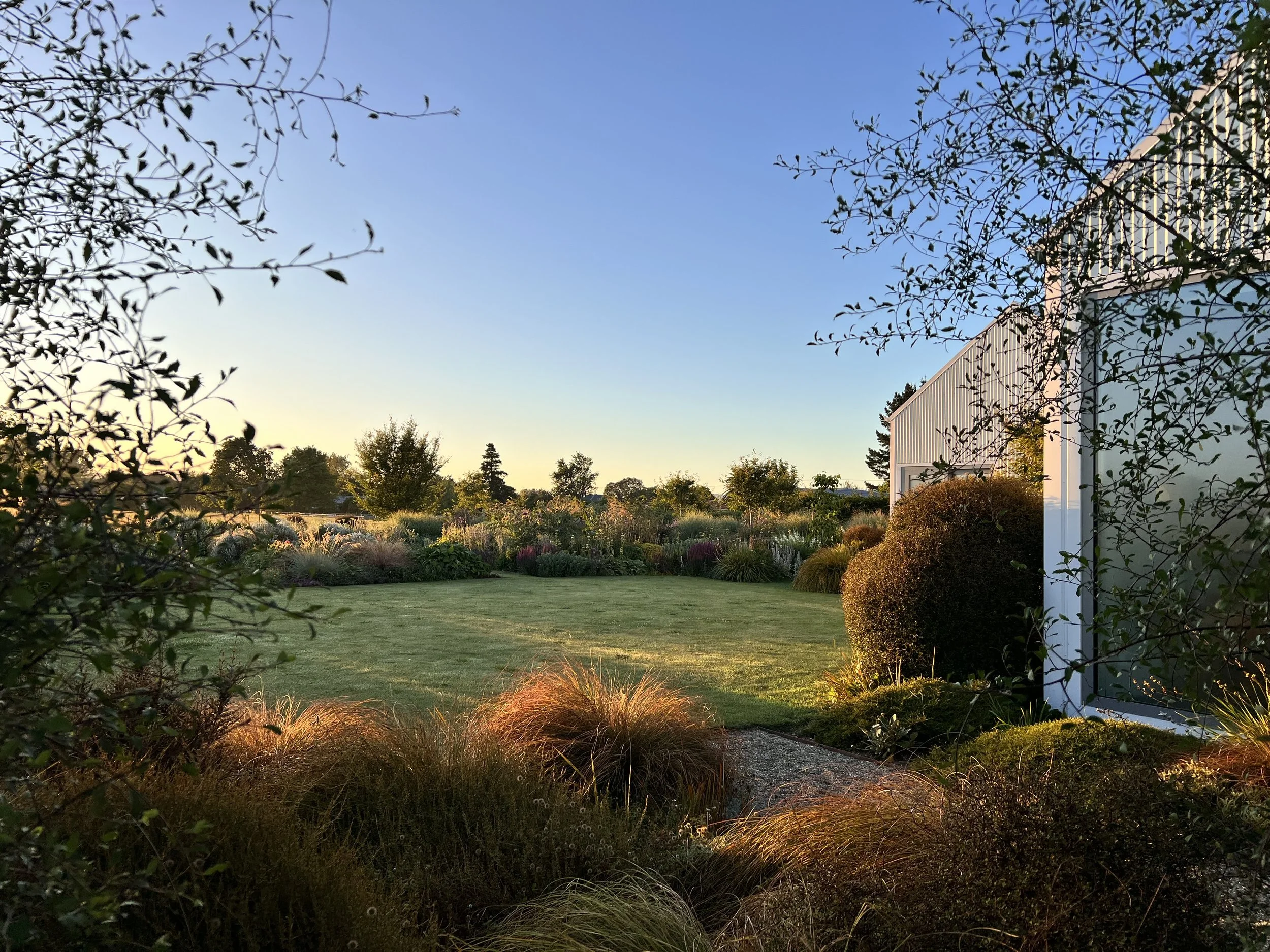 Textural planting Carterton.JPG