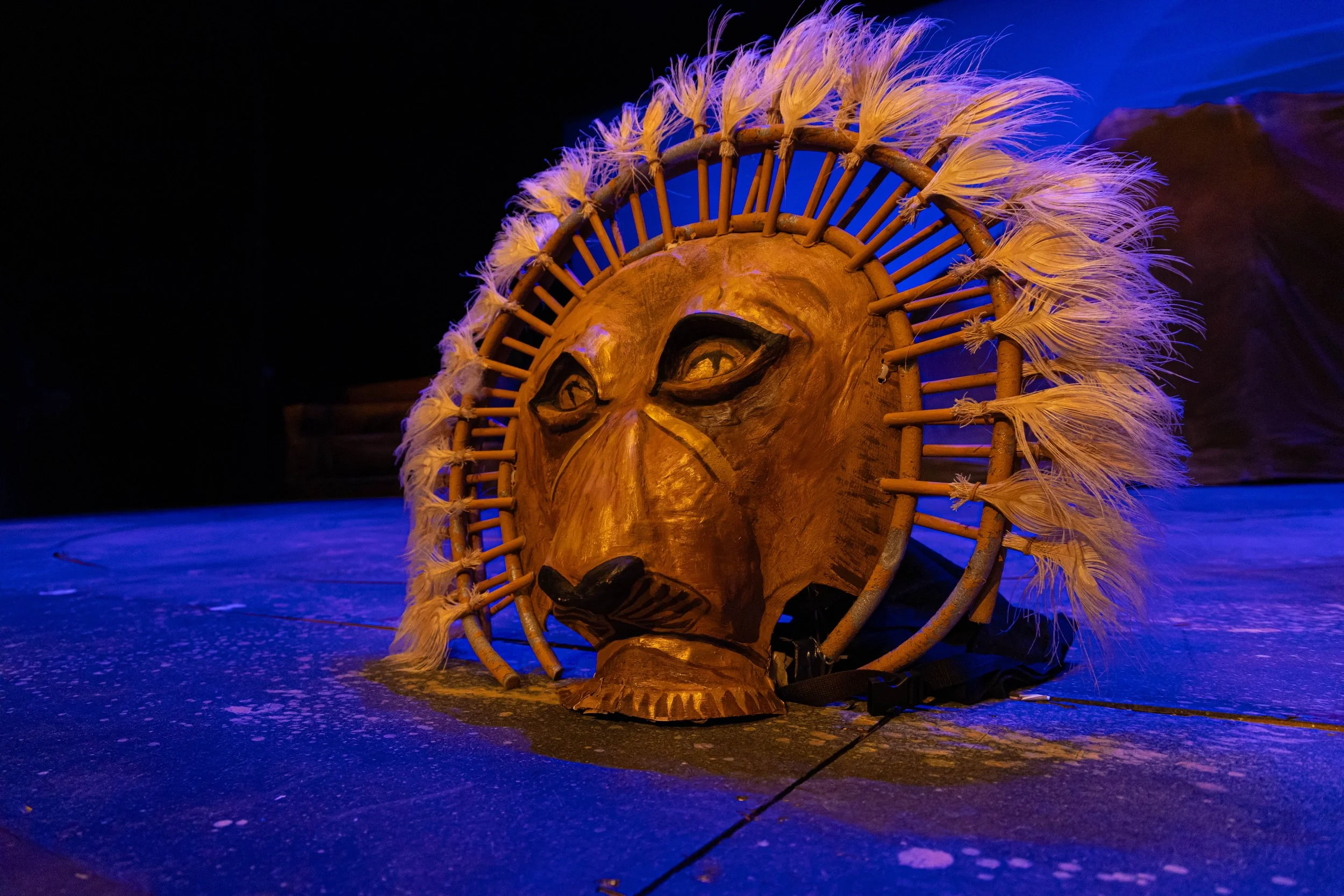 The Lion King Jr.