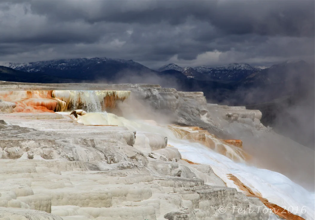 Canary Spring, Yellowstone