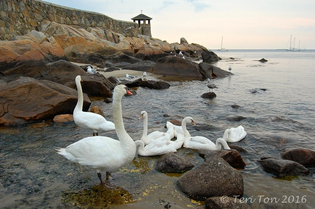 Rockport, MA