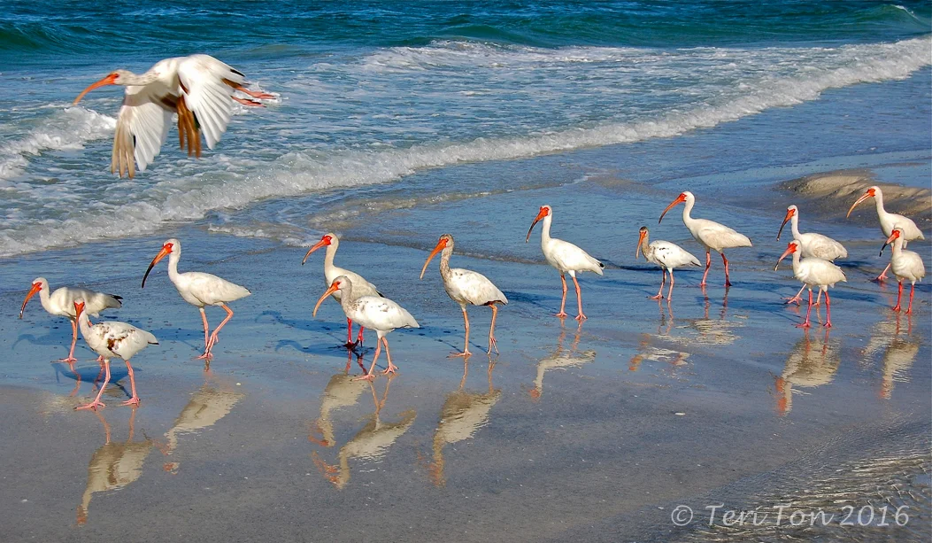 Reddington Beach, FL