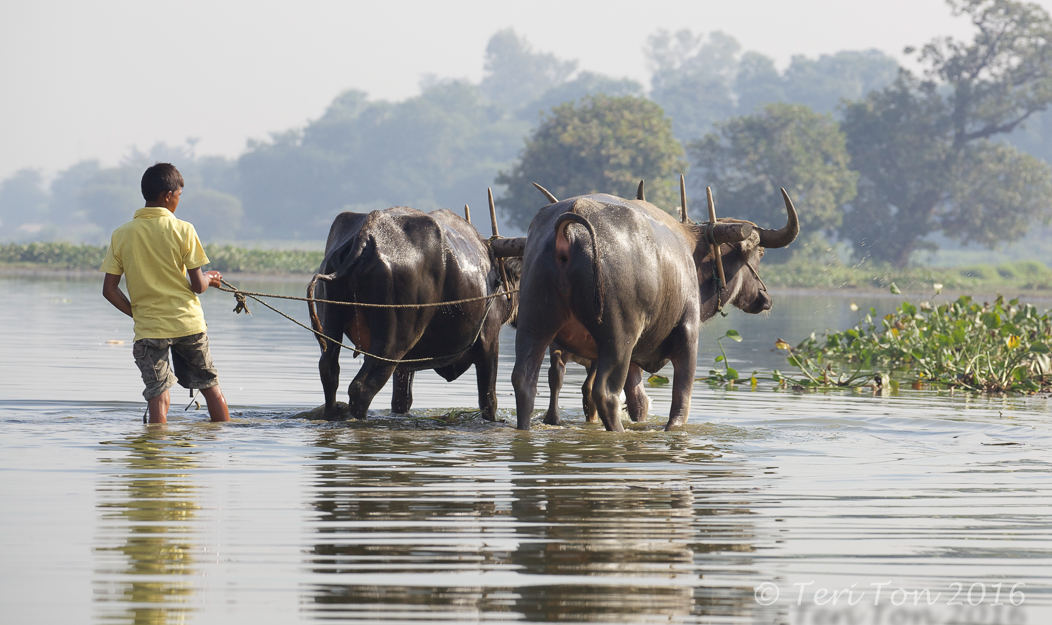 Taungthaman Lake, Amarapura