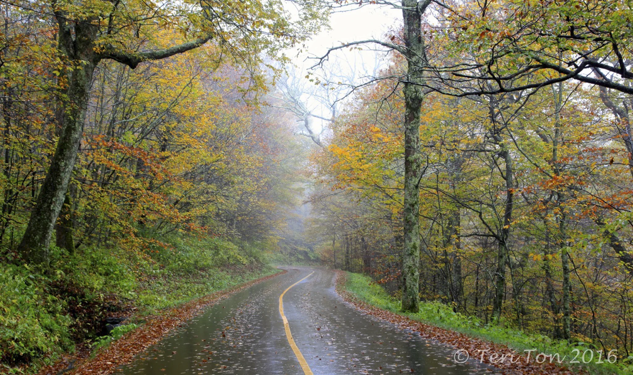 Blue Ridge Parkway