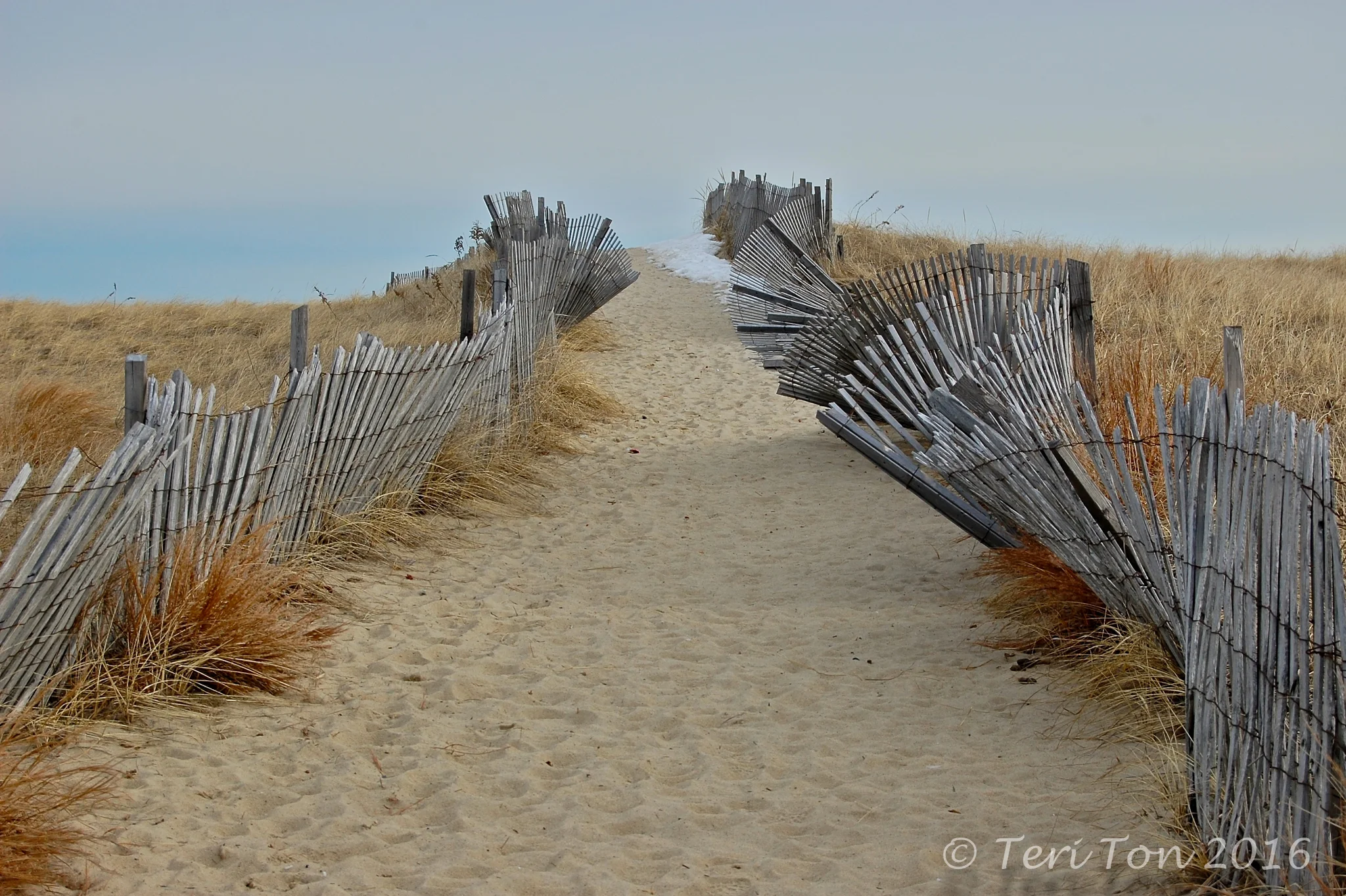 Scusset Beach, Cape Cod, MA