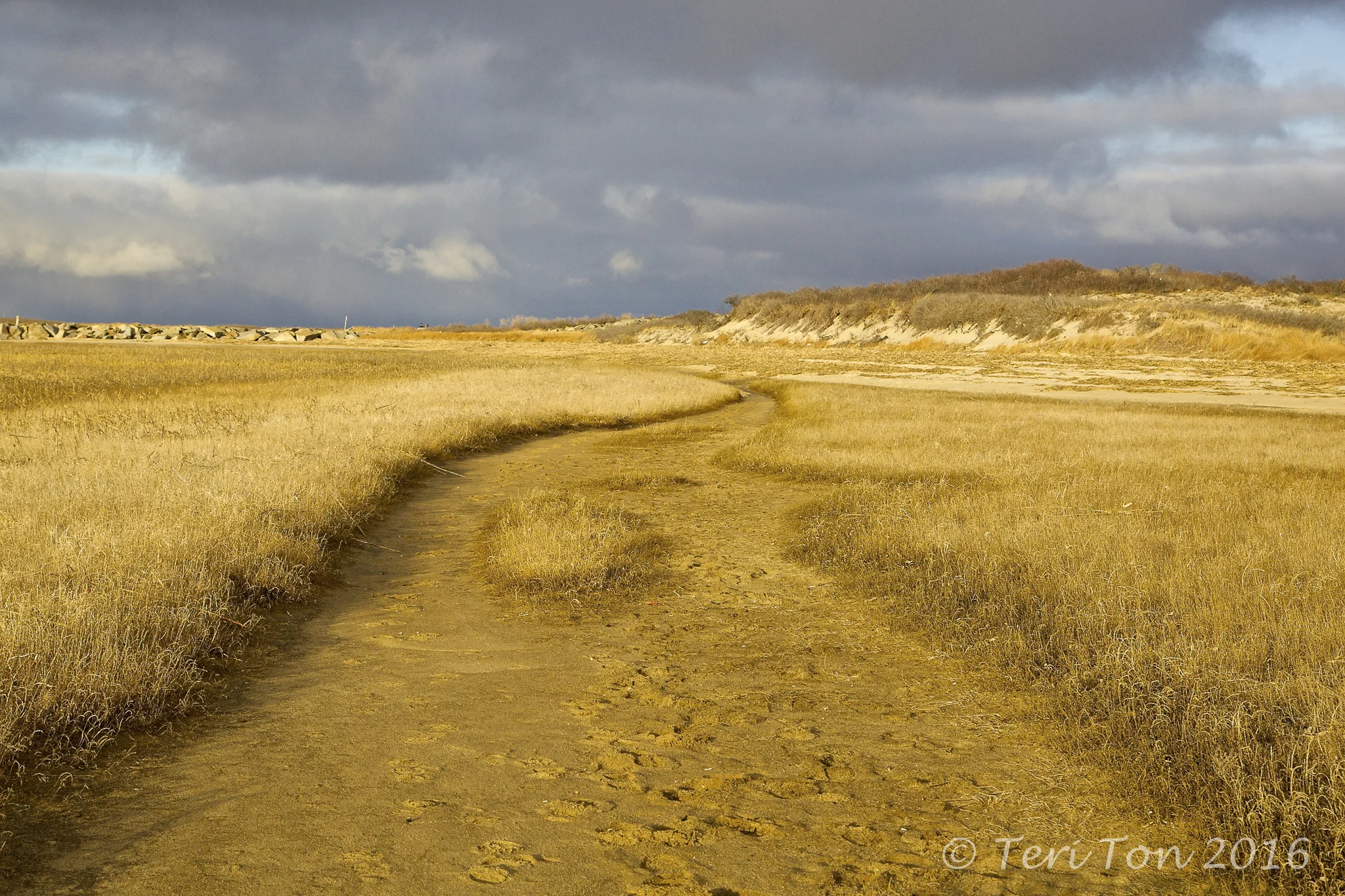 Breakwater Walk, Provincetown, MA