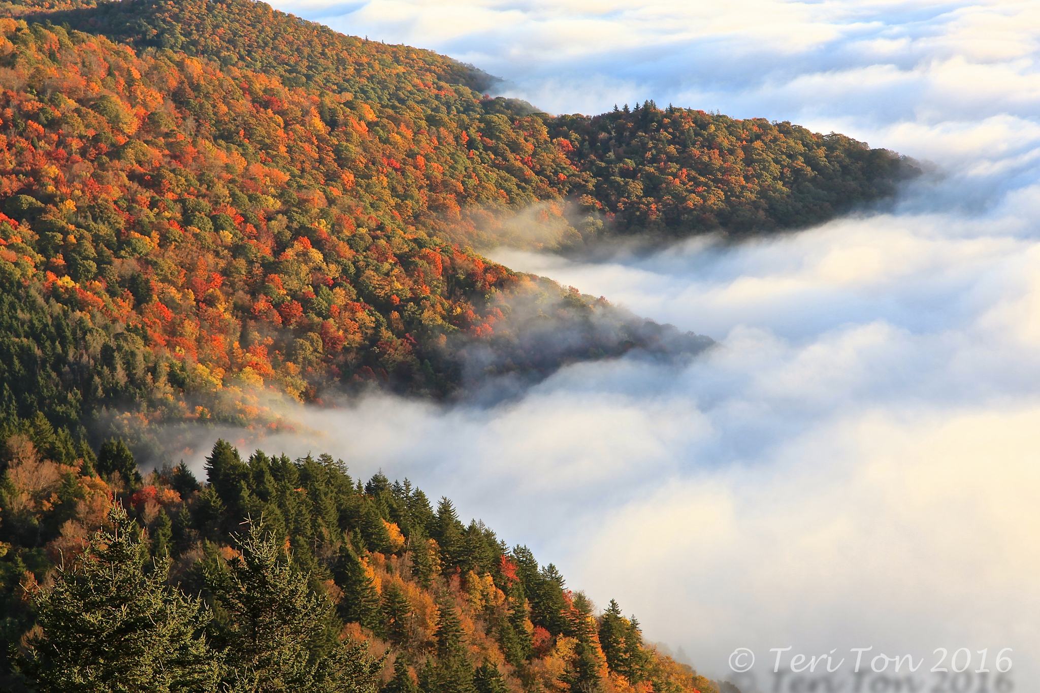 Blue Ridge Parkway, NC