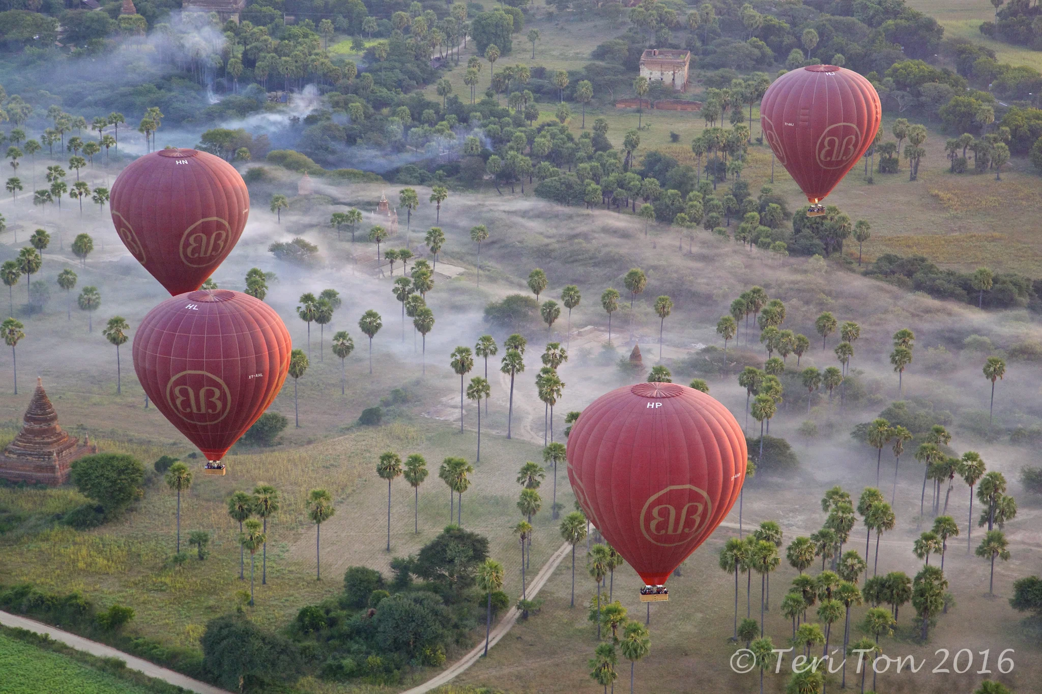 Hot Air Balloons over Bagan, Myanmar