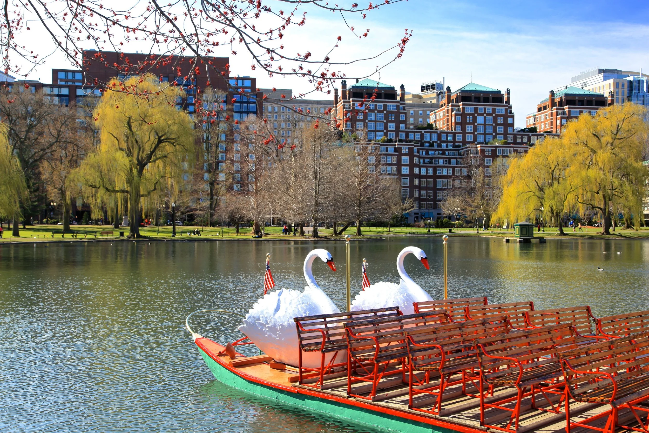 Boston Public Garden