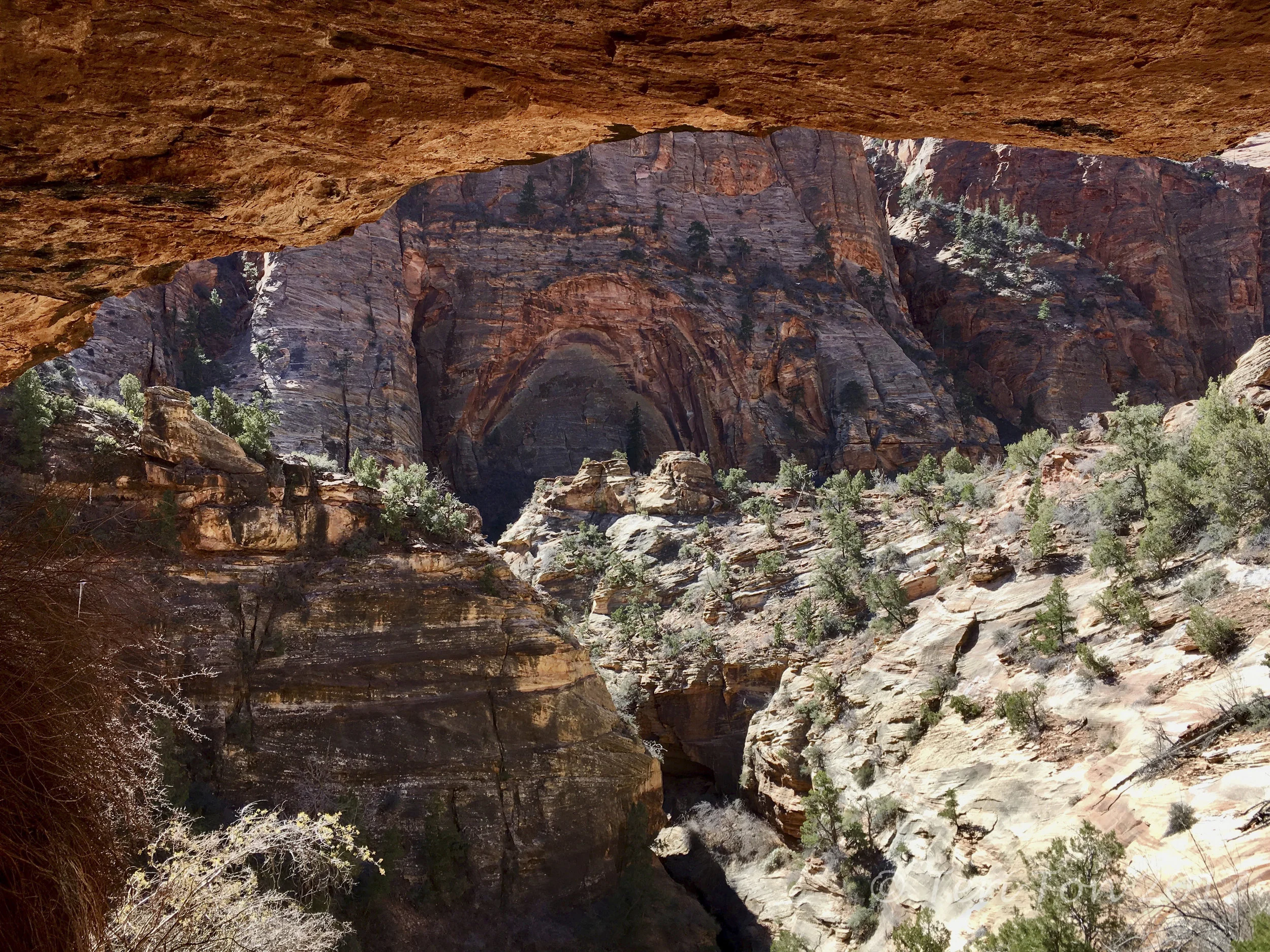 Canyon Overlook Trail, Zion