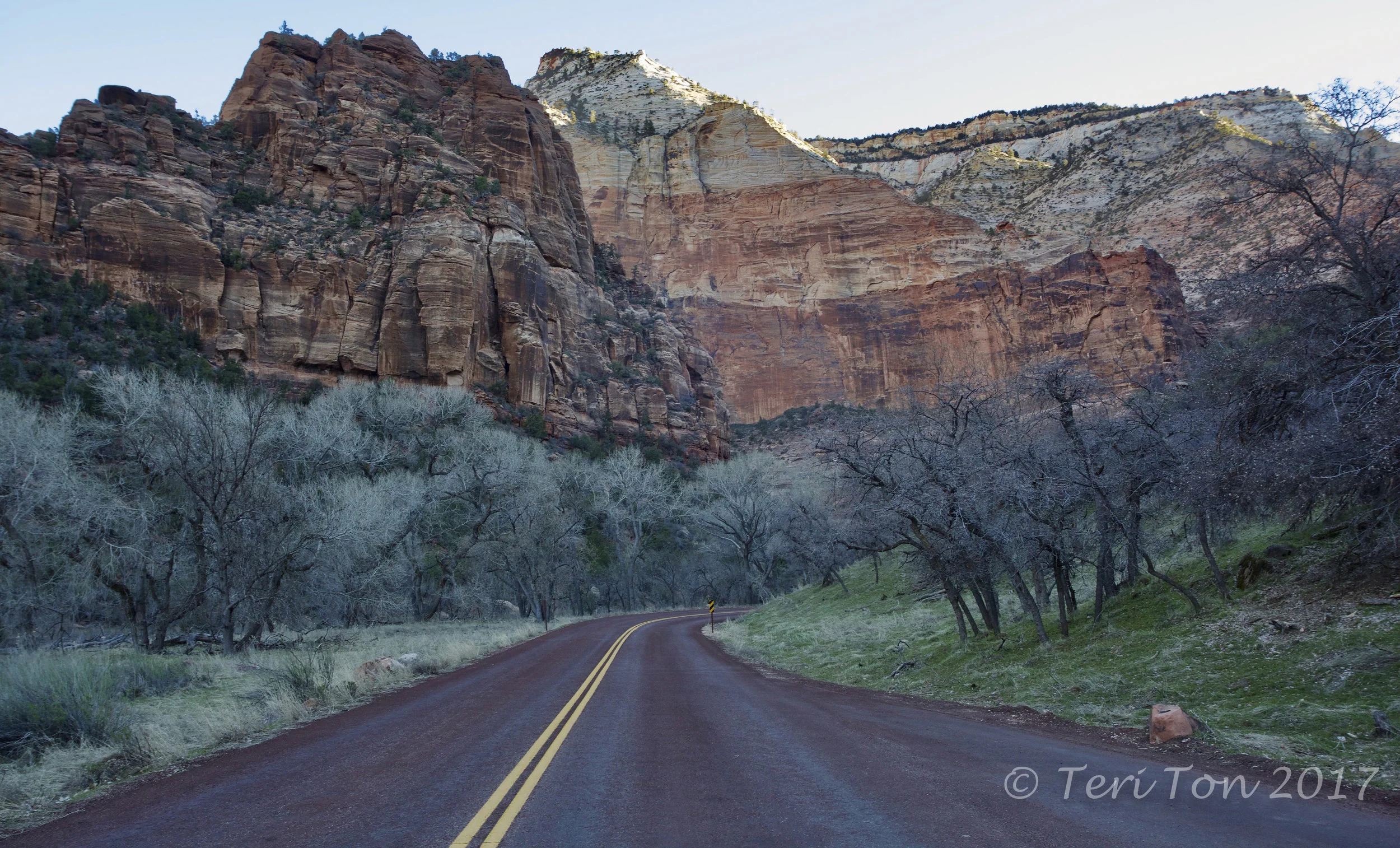 Zion Canyon Scenic Drive