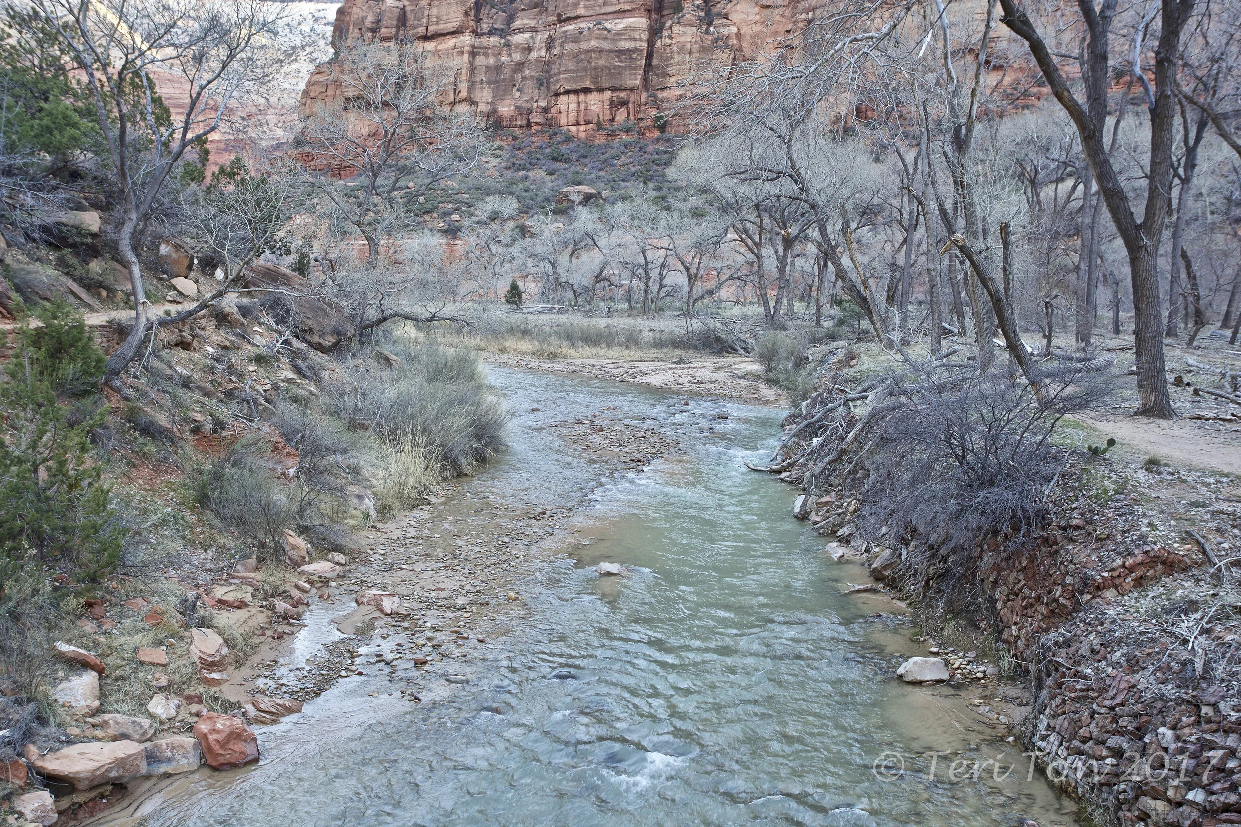 Virgin River, Zion