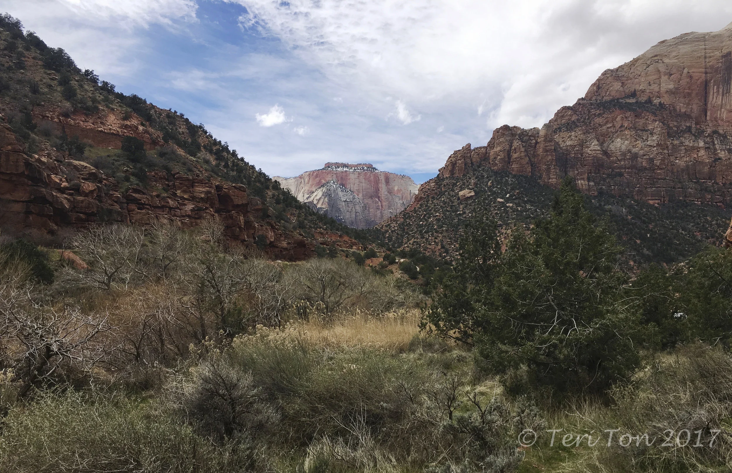 View of West Temple, Zion