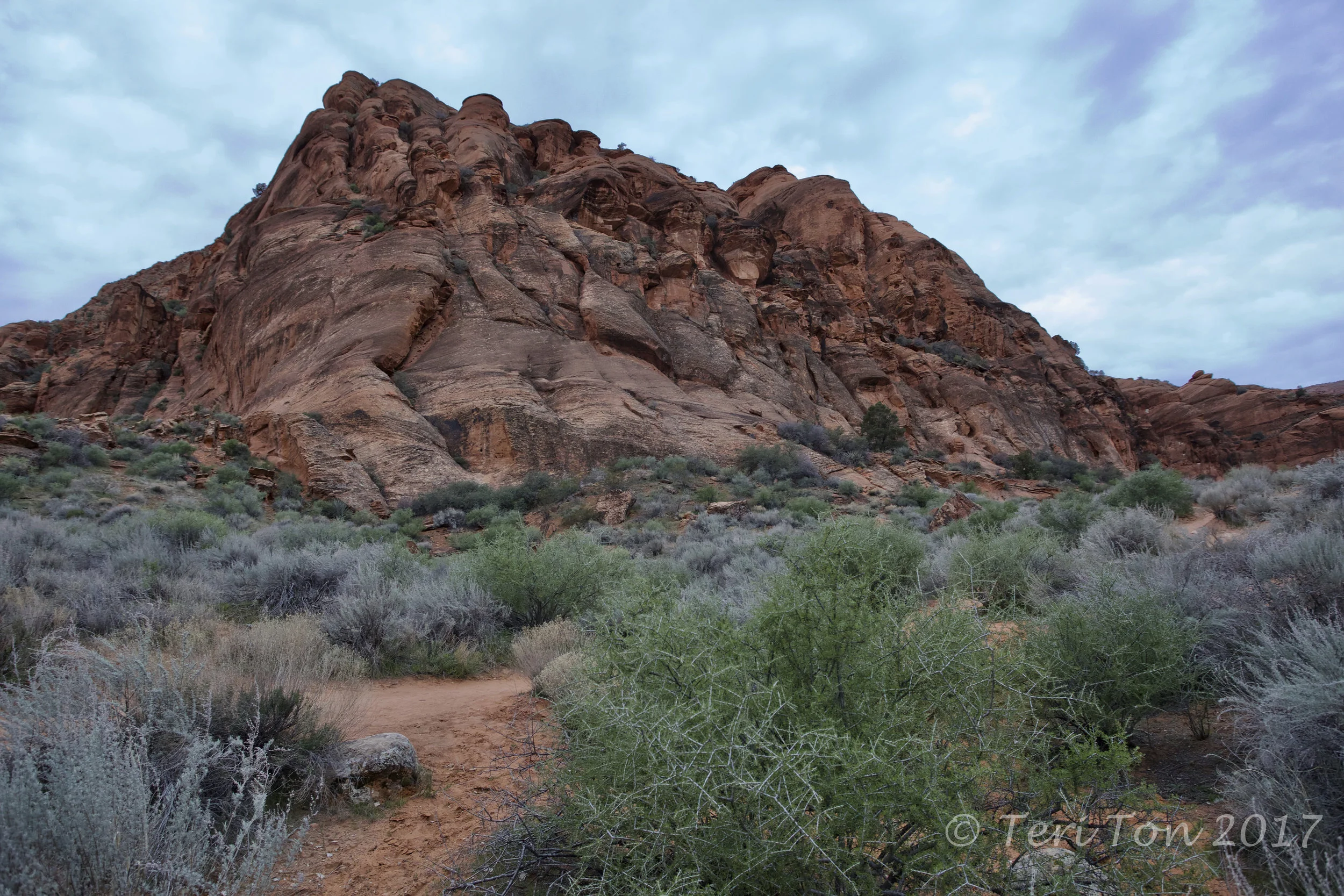 Snow Canyon, Ivins, Utah