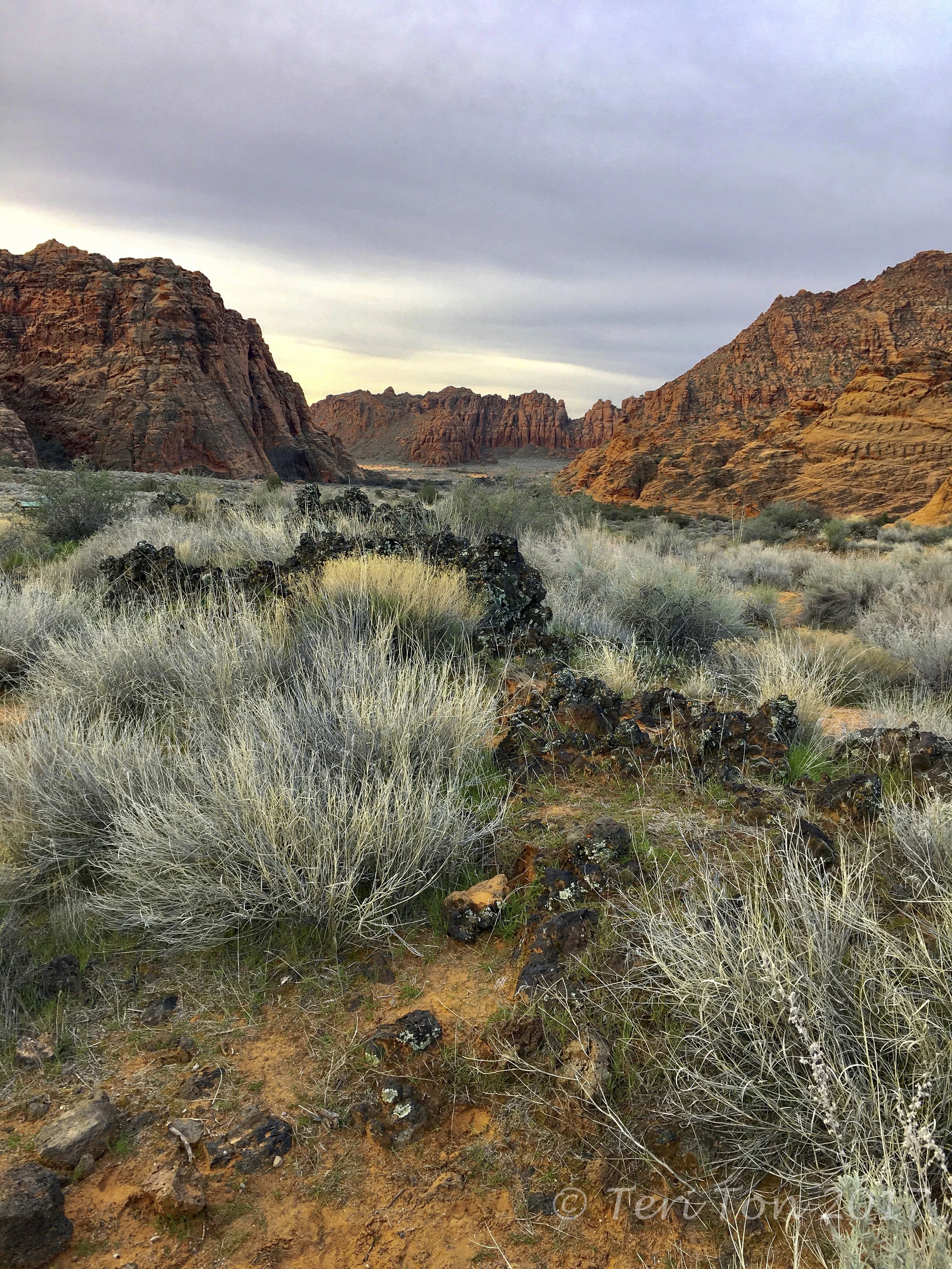 Snow Canyon, Ivins, Utah