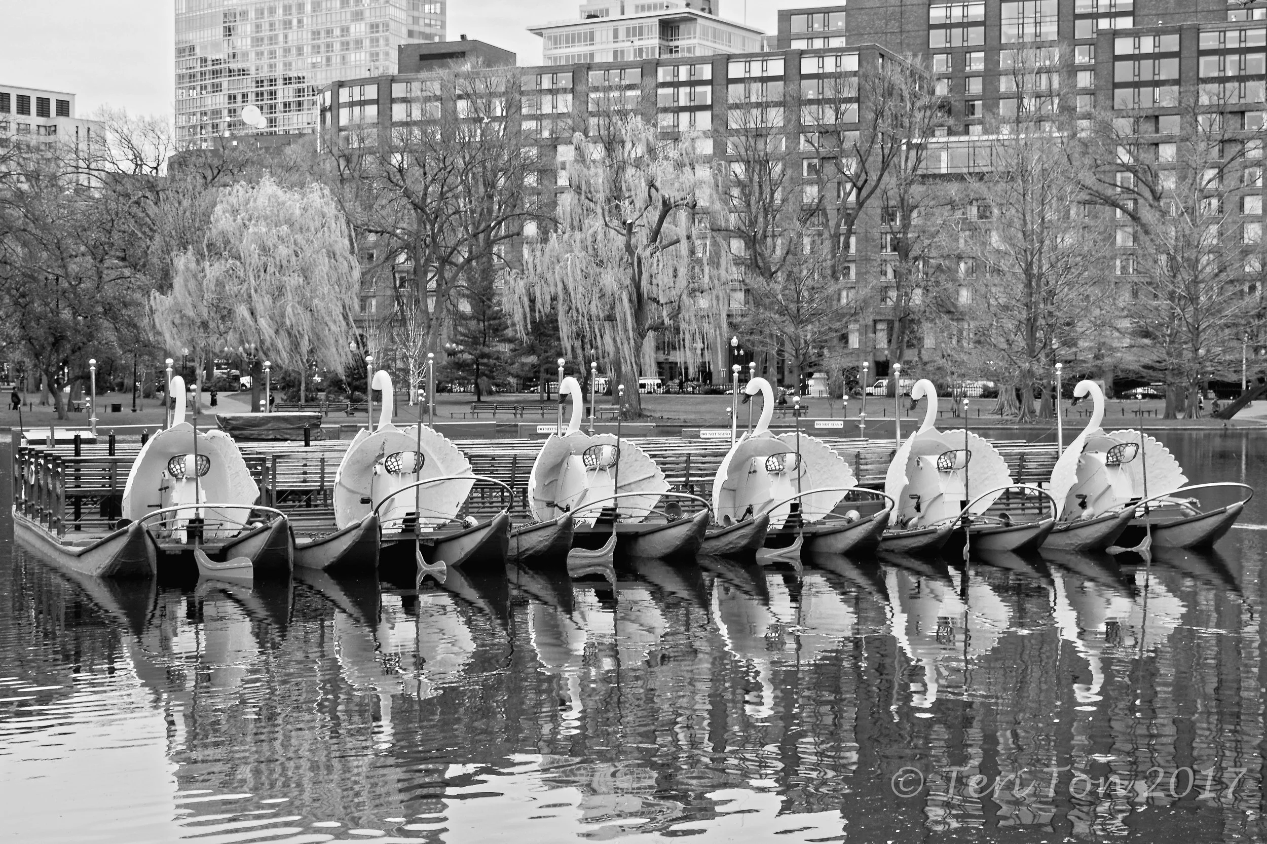 Swan Boat, Boston Public Garden
