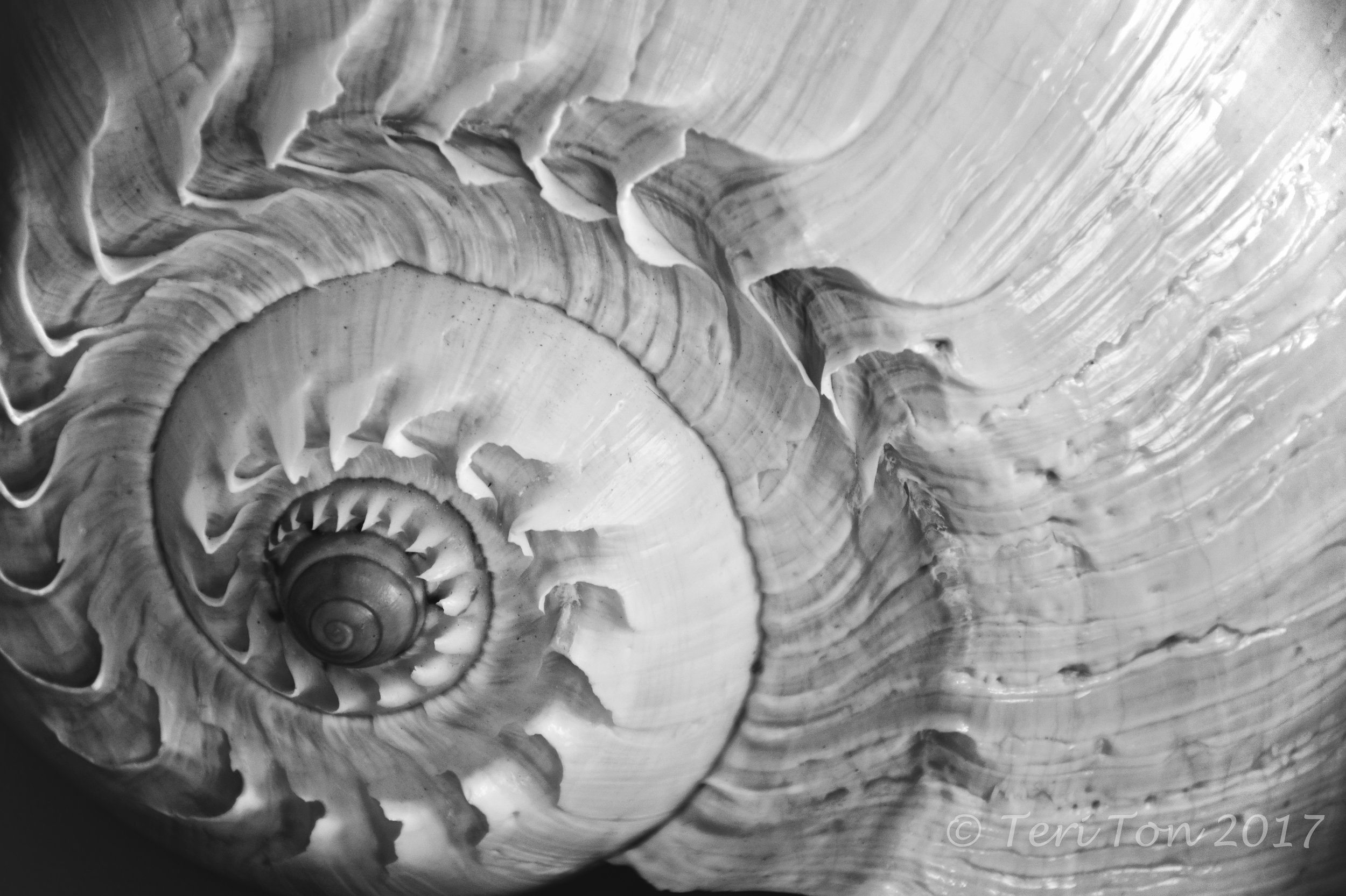 Black white teri ton travel photography