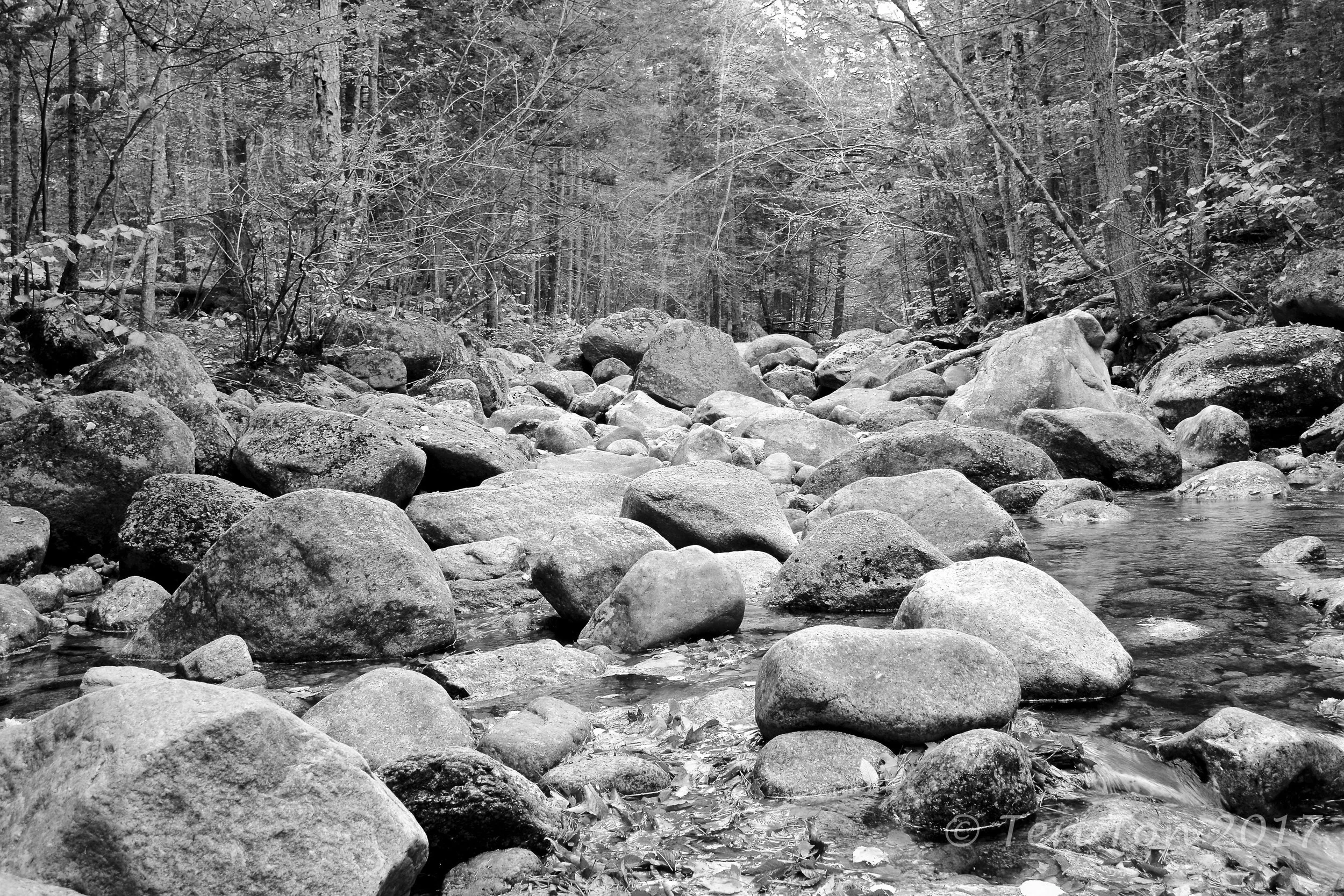 Tripoli Road, New Hampshire