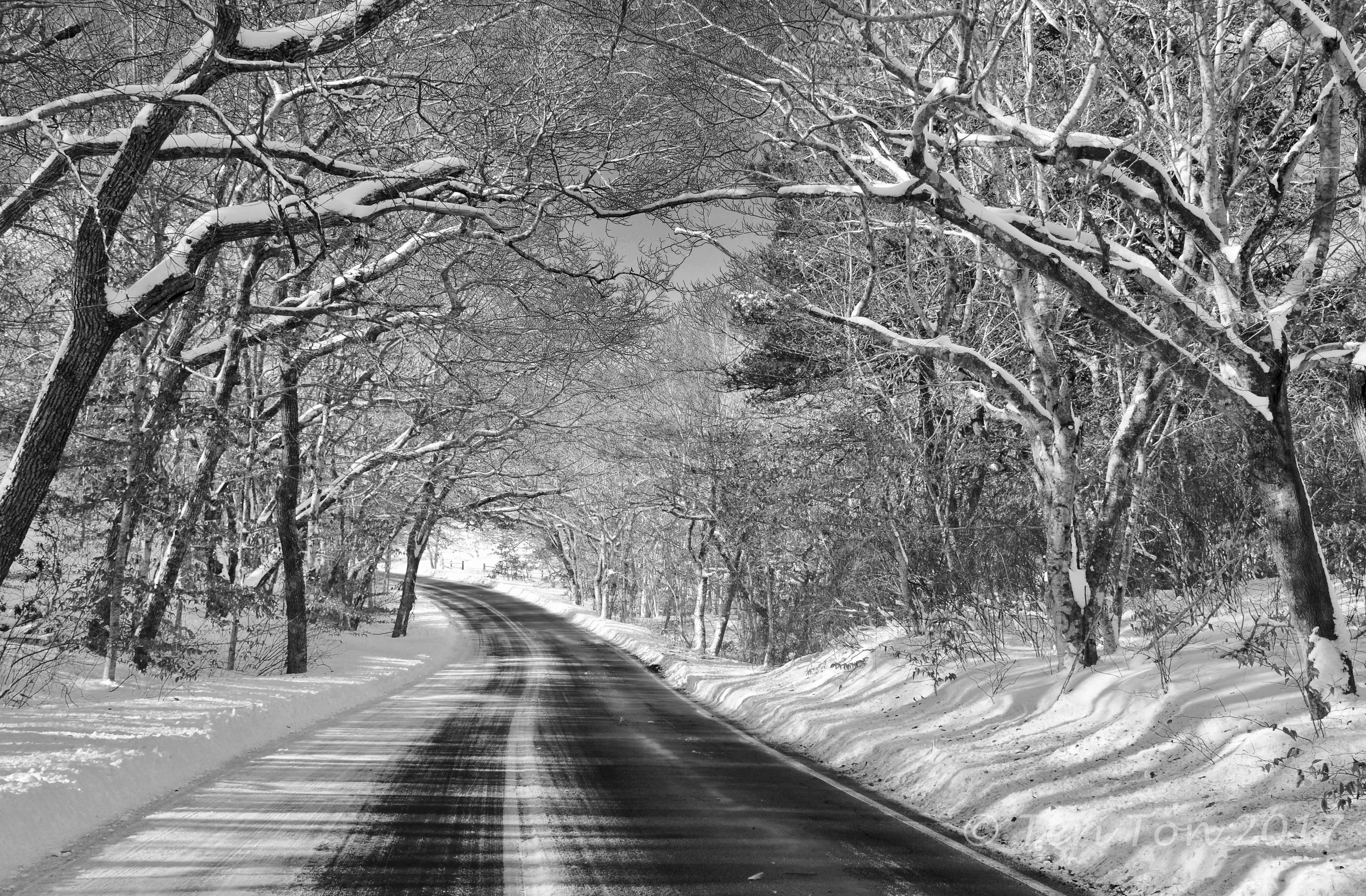 Race Road, Cape Cod National Seashore
