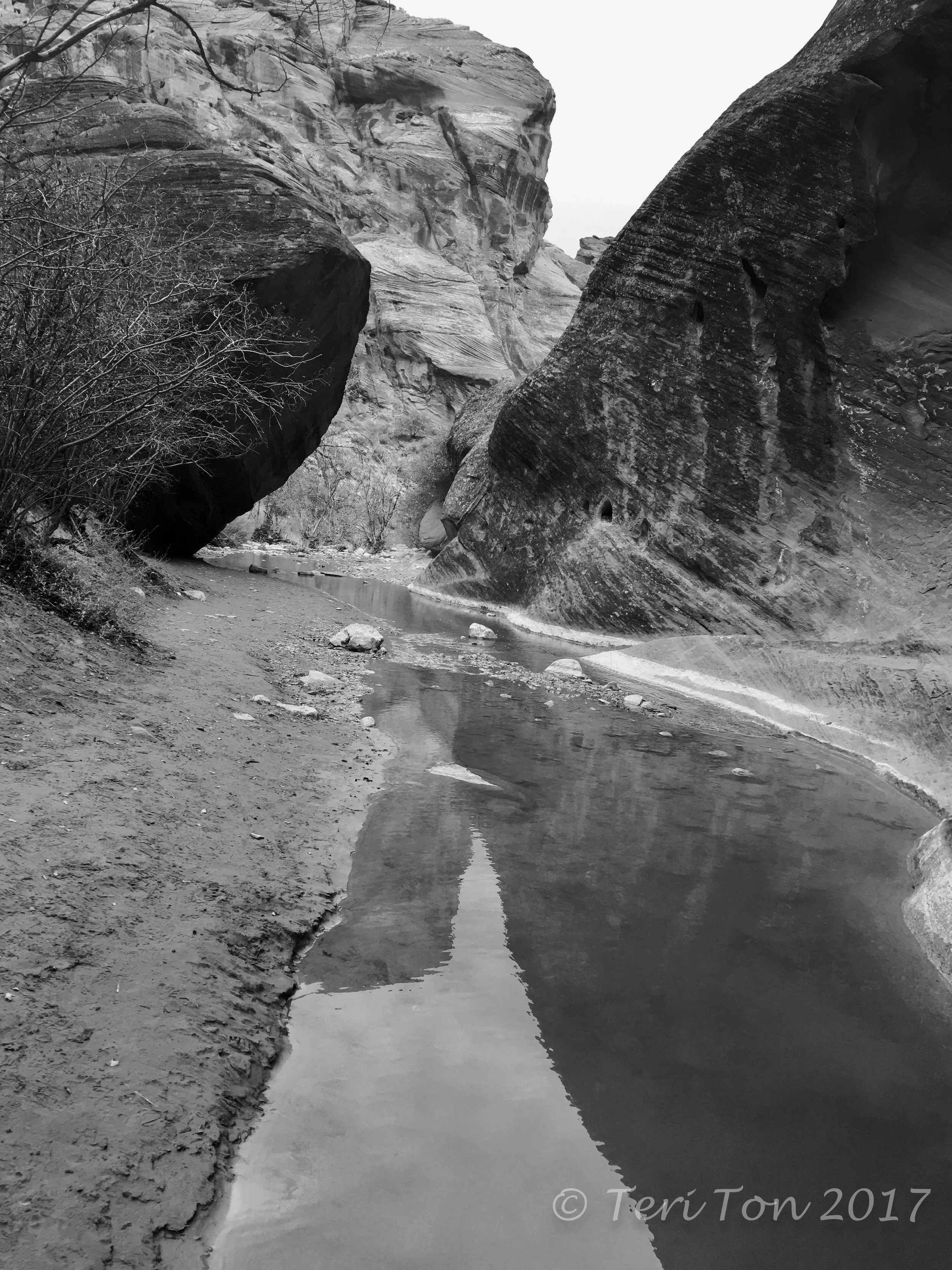 Red Reef Trail, Red Cliff Desert Reserve