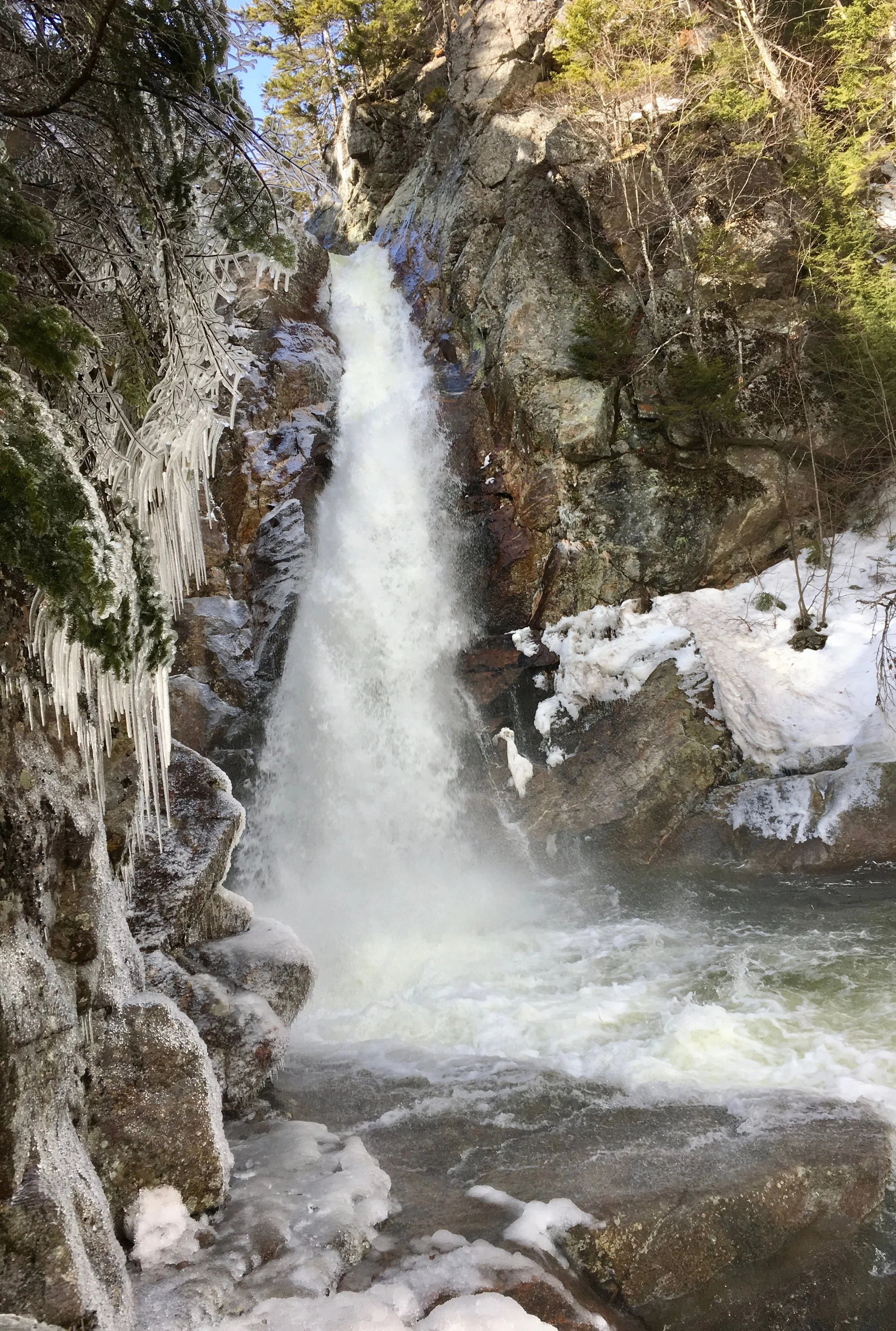 Glen Ellis Falls, Jackson, NH
