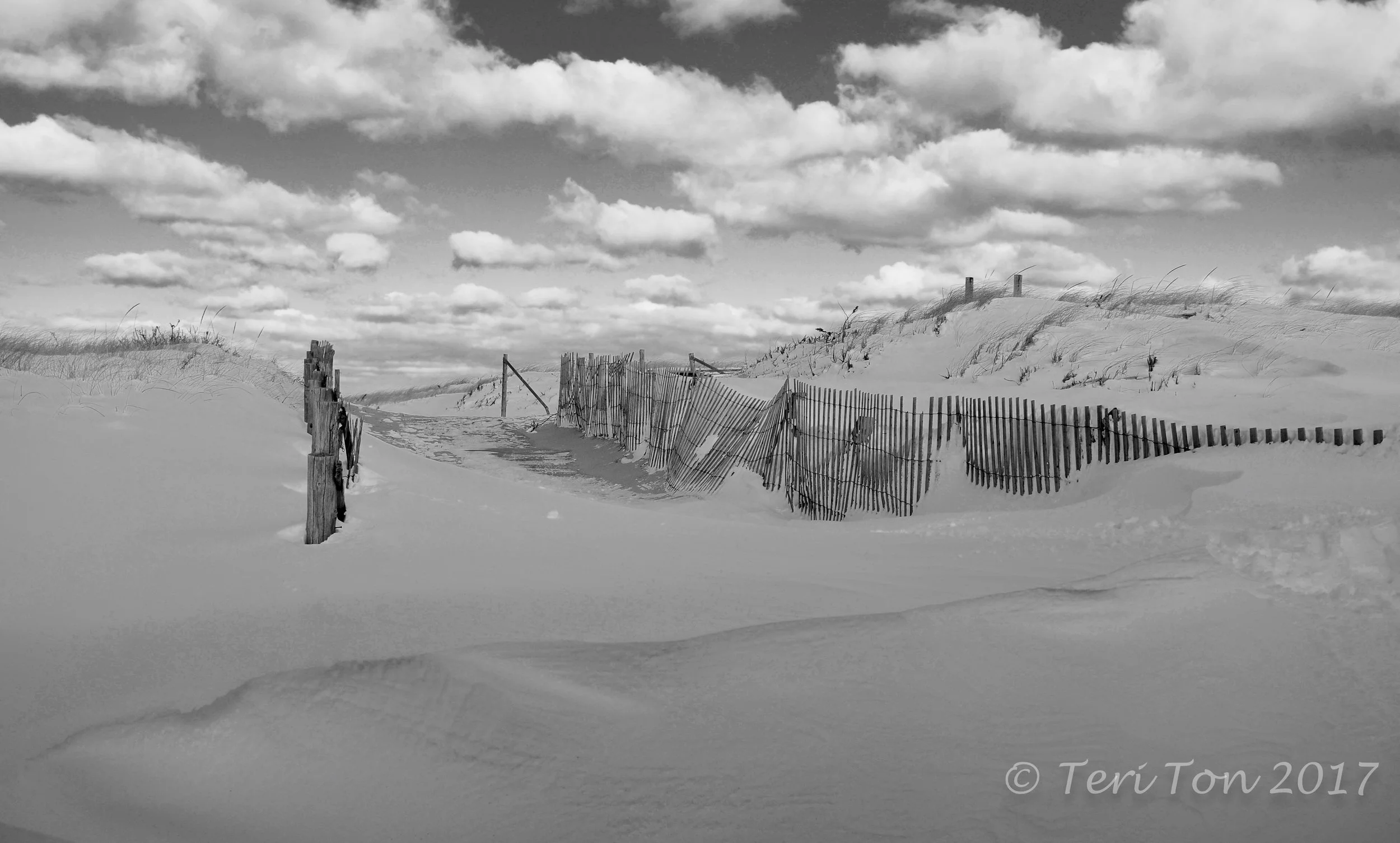 Sand Dunes at Race Point, Provincetown, MA