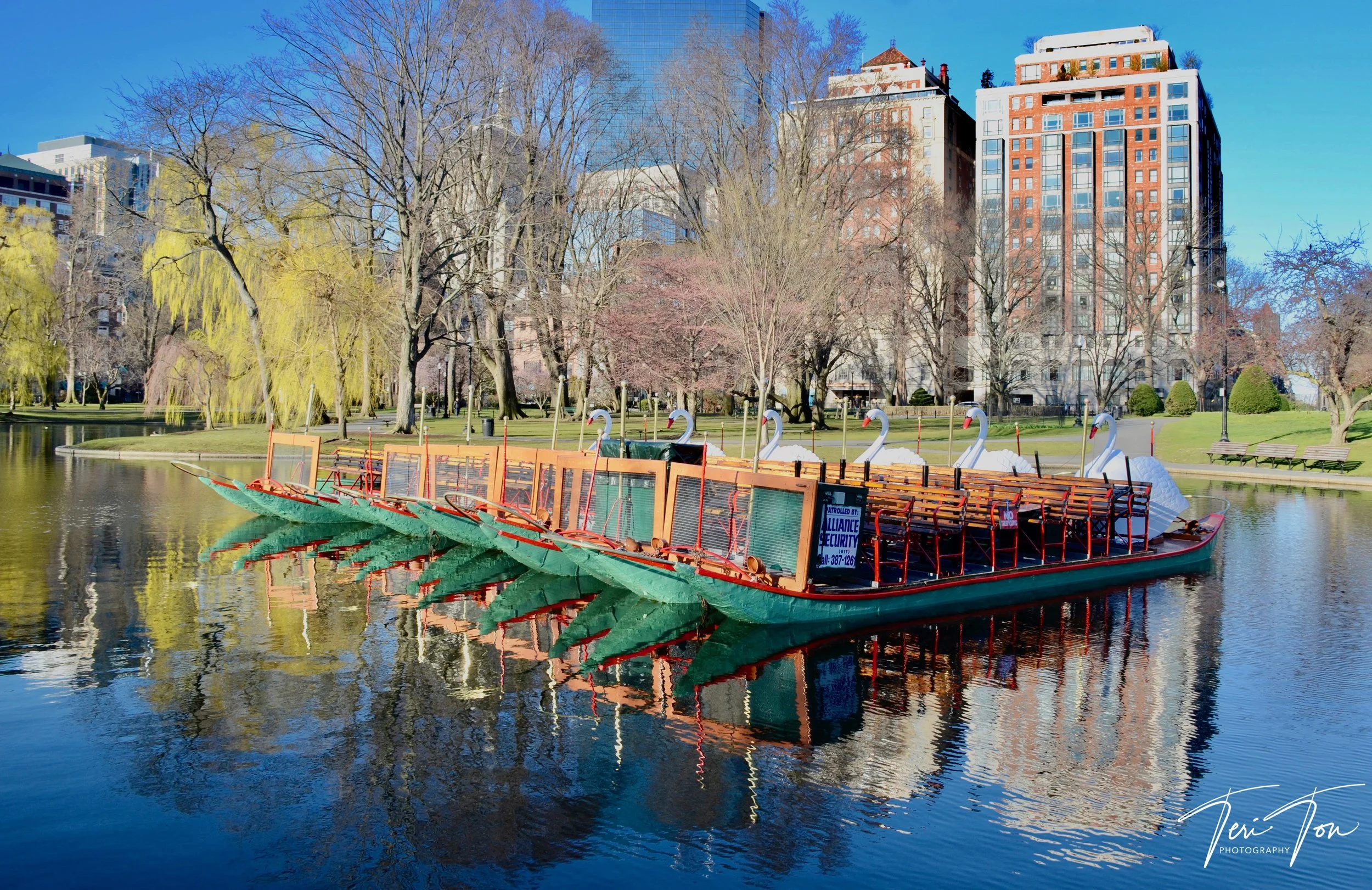 Swan Boat, Boston Public Garden