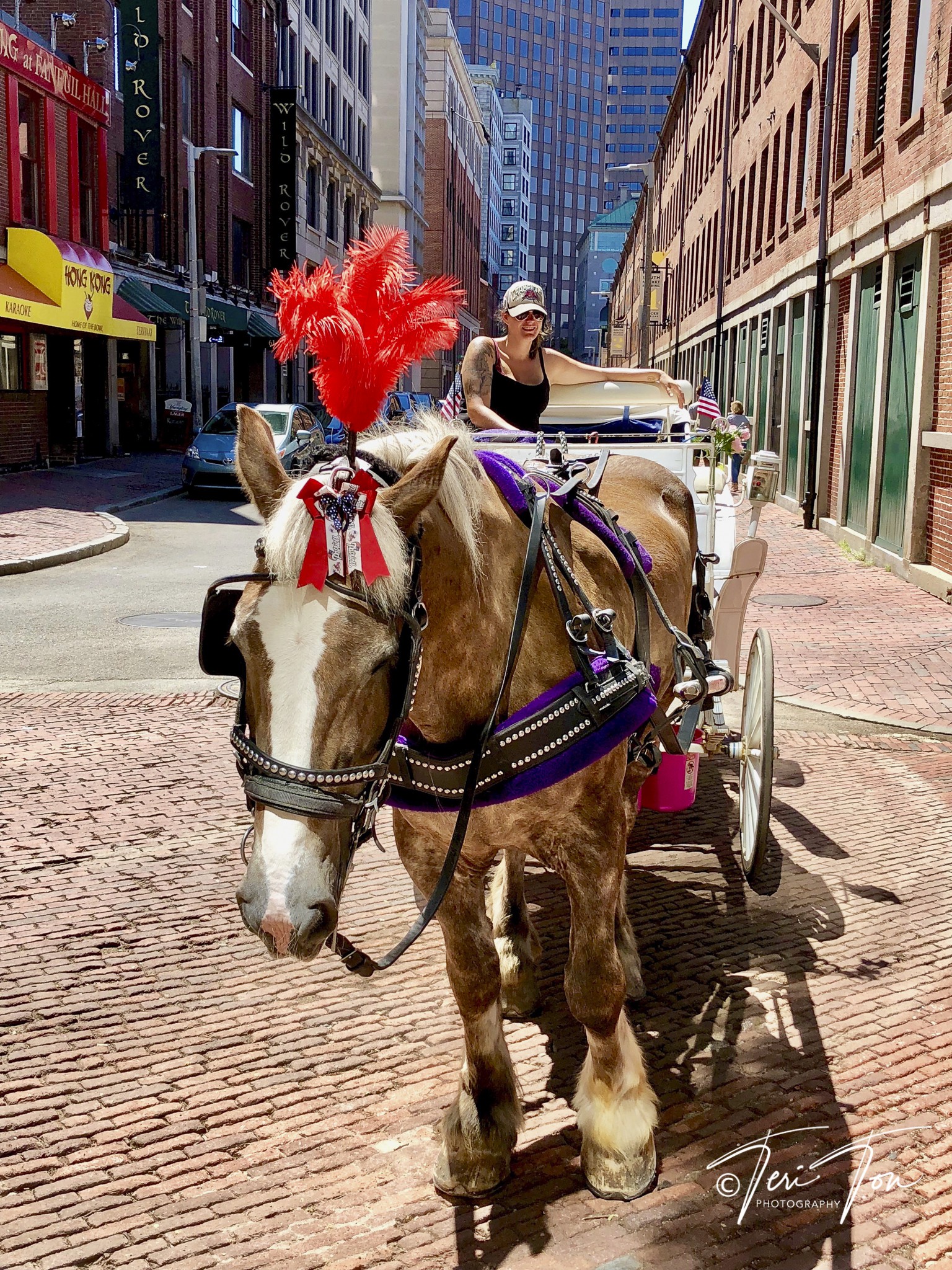 Faneuil Hall, Boston, MA