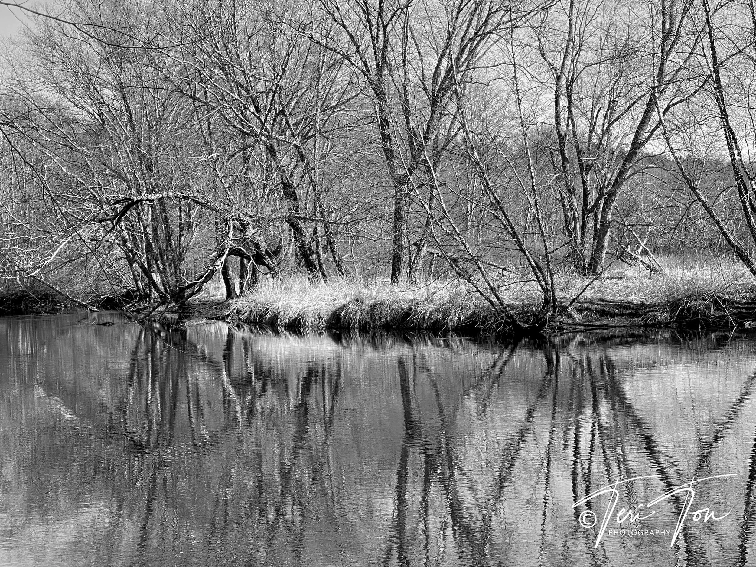 Charles River seen from Whitcomb Trail, Dedham,  MA
