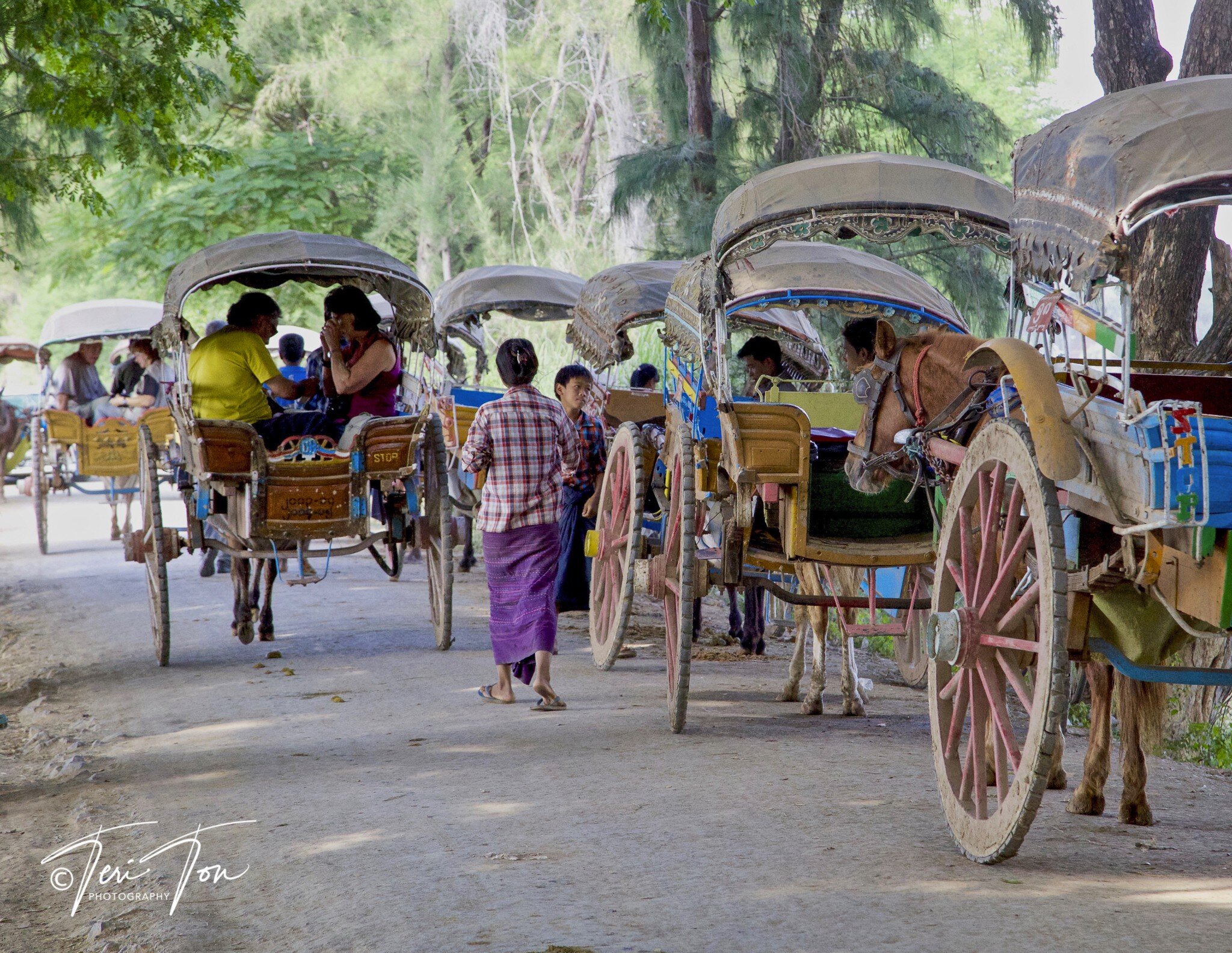Horse Carts in Innwa