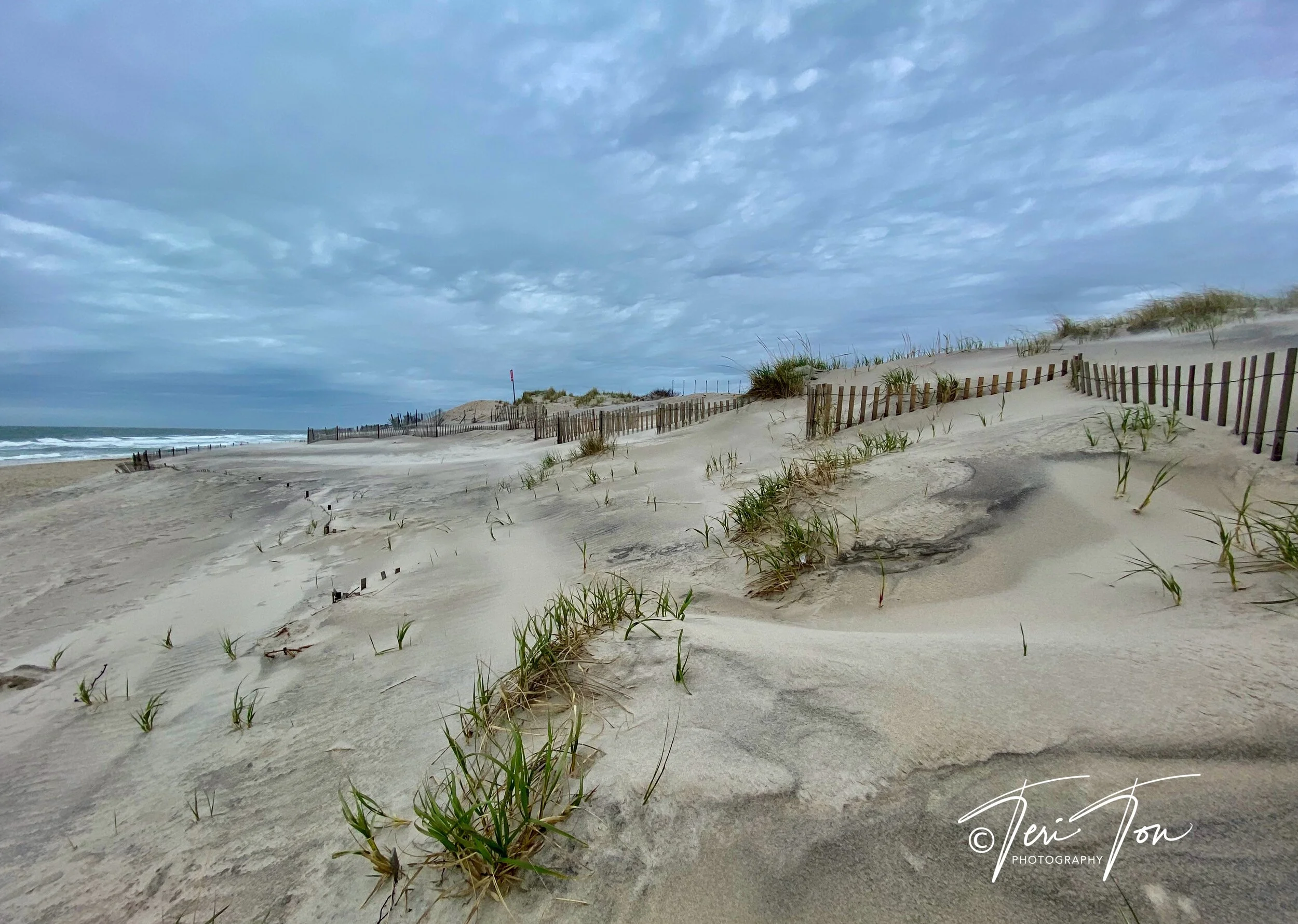 Fire Island National Seashore, Long Island, New York