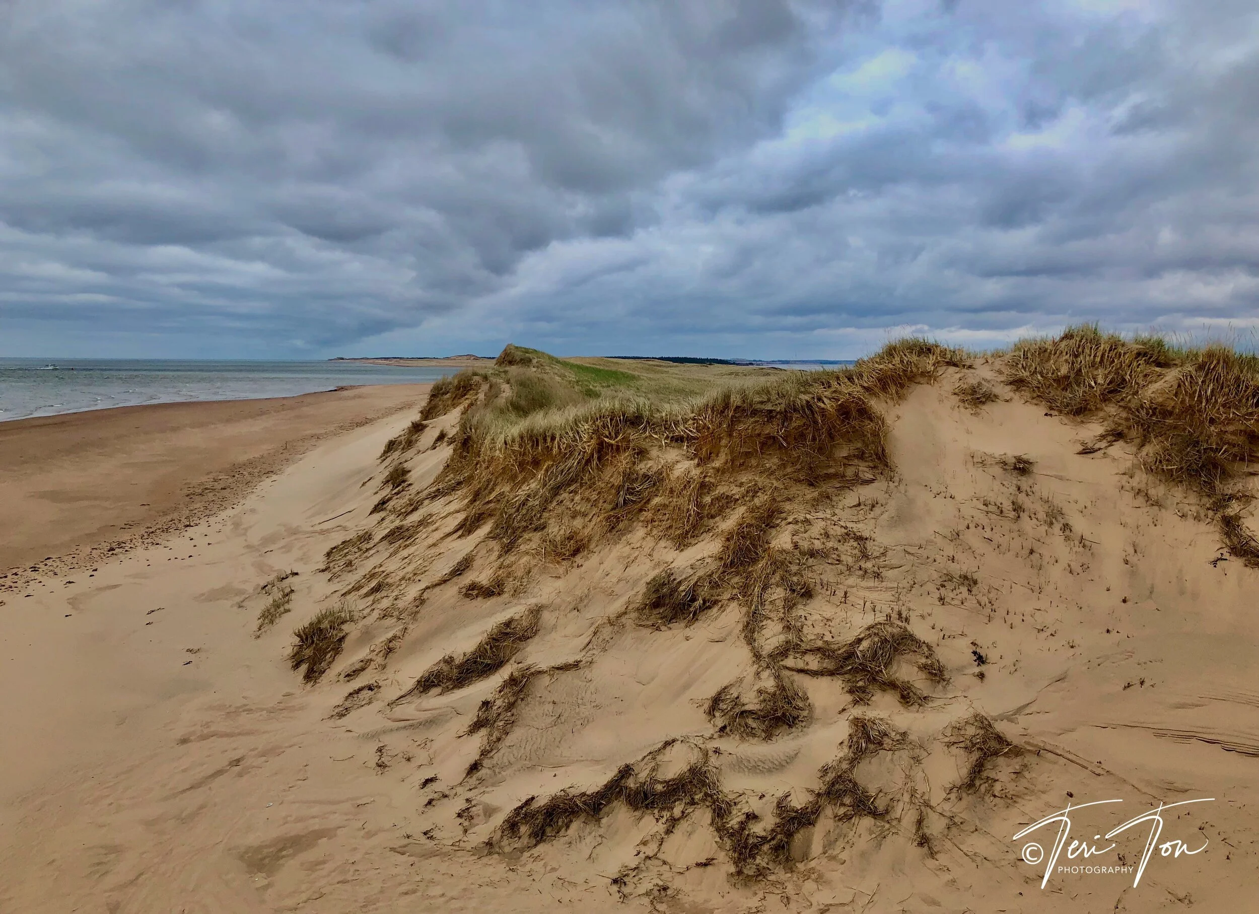 Dunes of Prince Edward Island, Canada