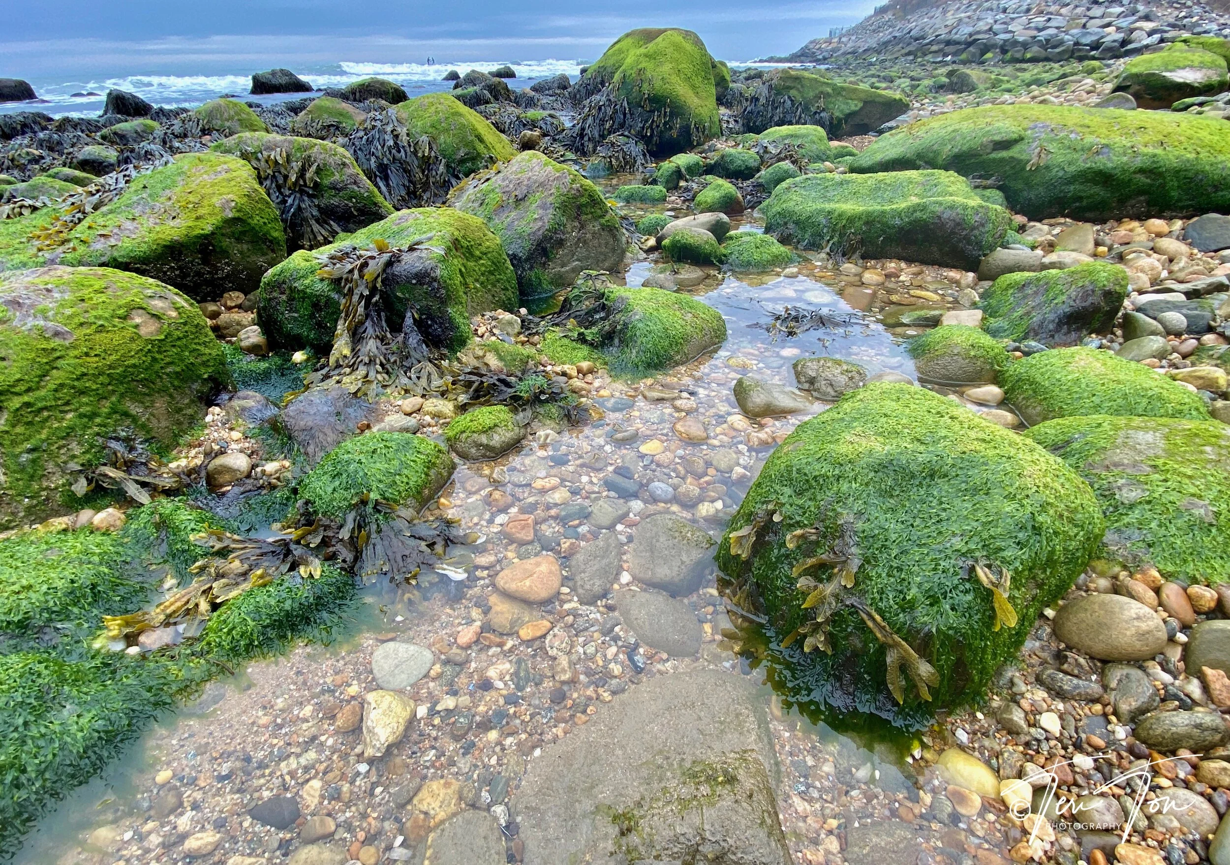 Montauk State Park, Long Island, New York