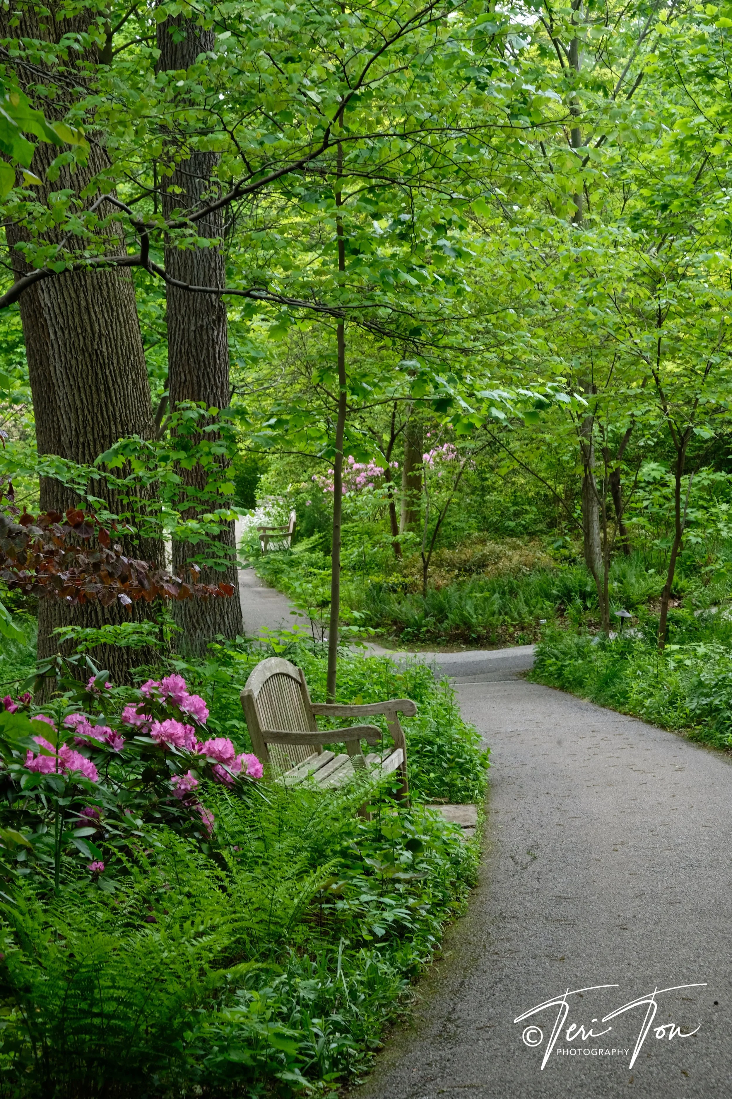 DSCF4518.jpg