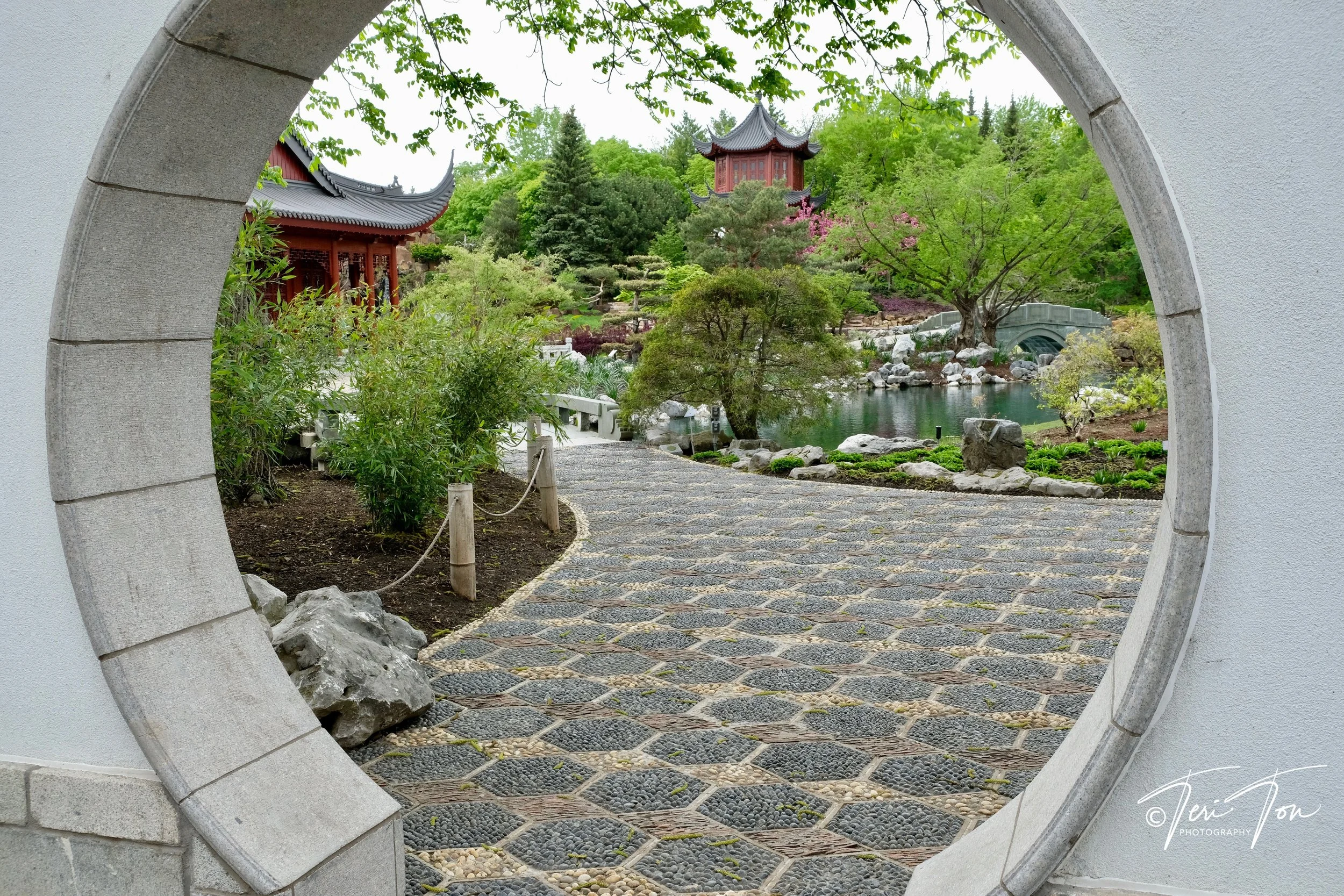 DSCF4897.jpg