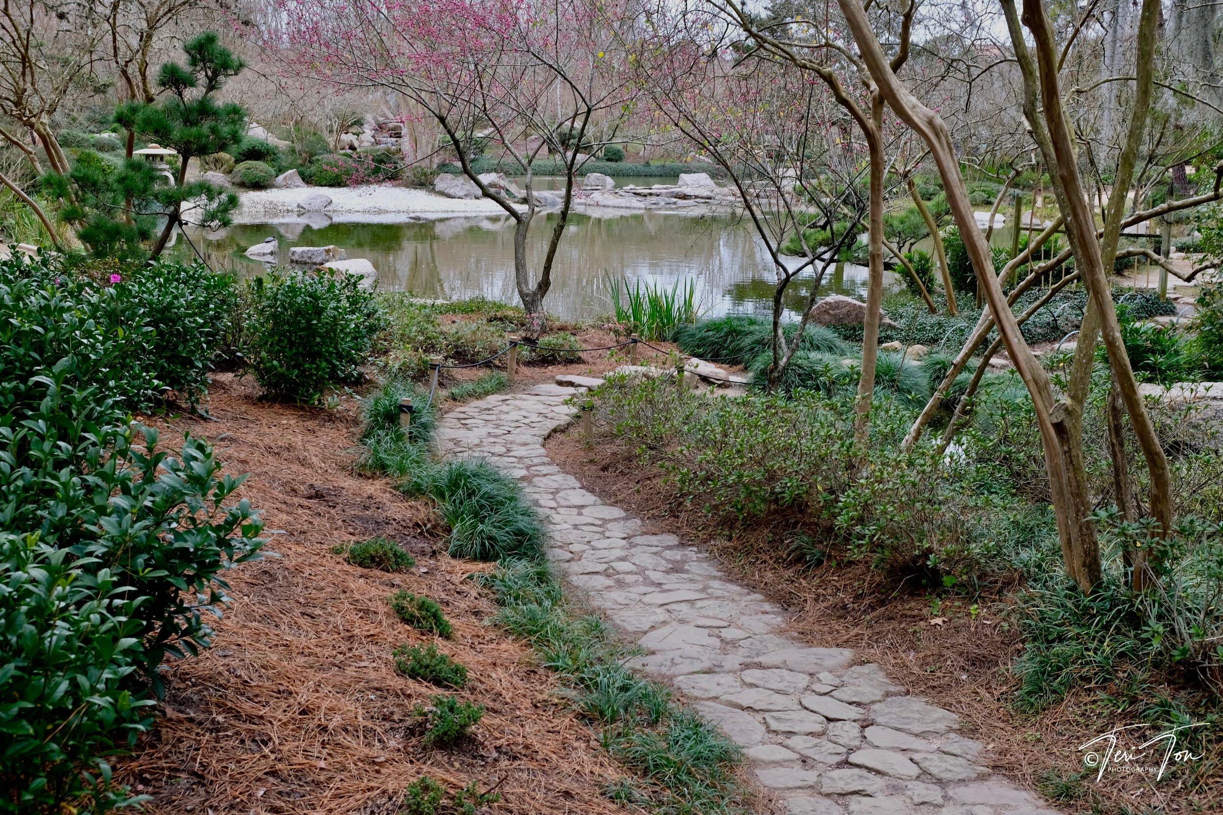 DSCF3593.jpg